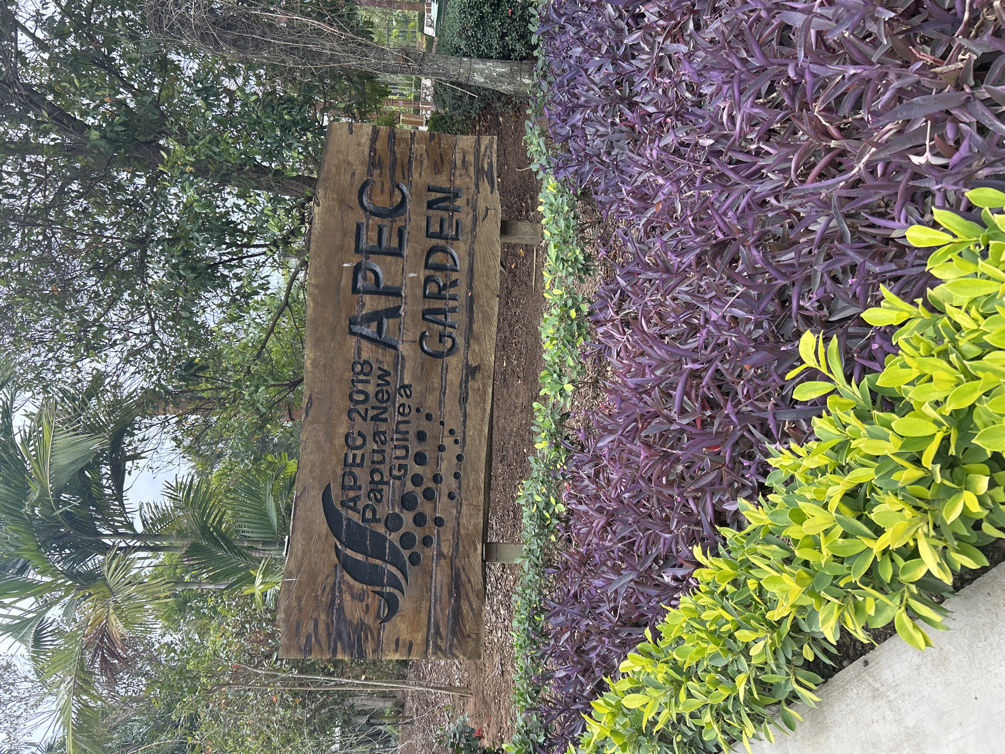 An outdoor scene features a wooden sign indicating "APEC 2018 Papua New Guinea APEC GARDEN". The sign is weathered and mounted on two wooden posts. In front of the sign, there are two rows of manicured plants. The front row consists of bright green, leafy bushes, and behind them are rows of dark purple, thin-leaved plants. The background shows trees and foliage, suggesting a garden or park setting. The location is identified as Tanubada, Papua New Guinea. There are no people or animals visible in the image. The lighting suggests it is daytime.