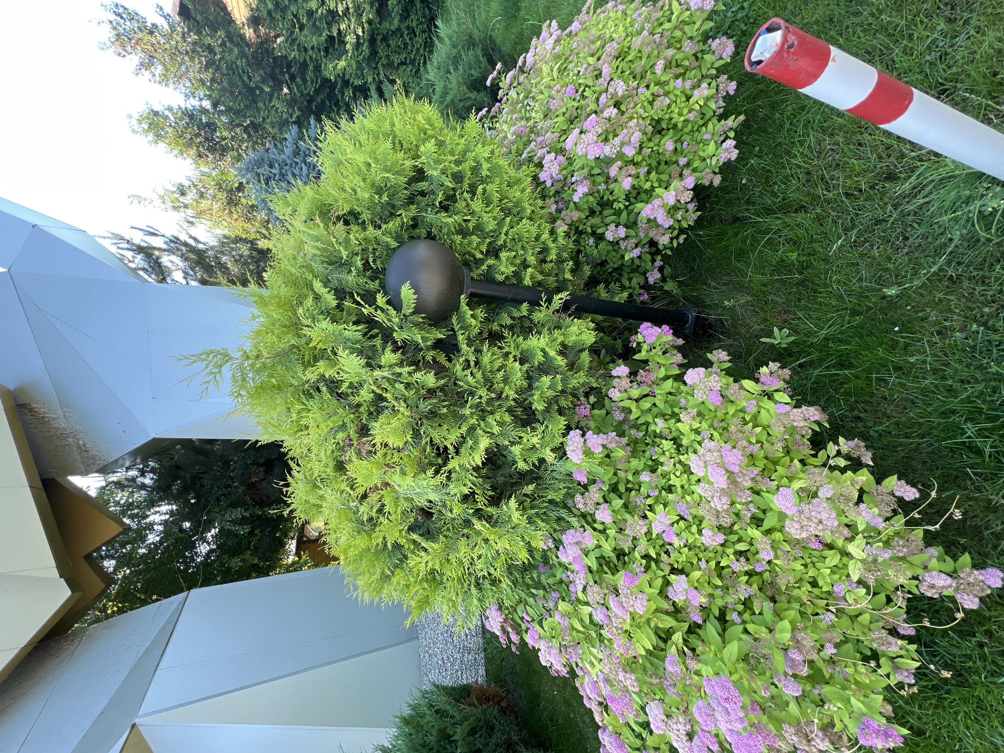 In Plast Univska, Russia, an outdoor scene features a meticulously landscaped garden. A large, rounded green shrub dominates the center, with a dark, spherical lamp post positioned in front of it. Cascading around the base of the shrub is a dense layer of smaller plants with clusters of small, pink flowers. To the right, a red and white striped bollard is visible, partially entering the frame. In the background, an abstract architectural structure with angular, metallic surfaces is partially seen, along with various evergreen trees that form a lush backdrop. The ground is covered in well-maintained green grass.