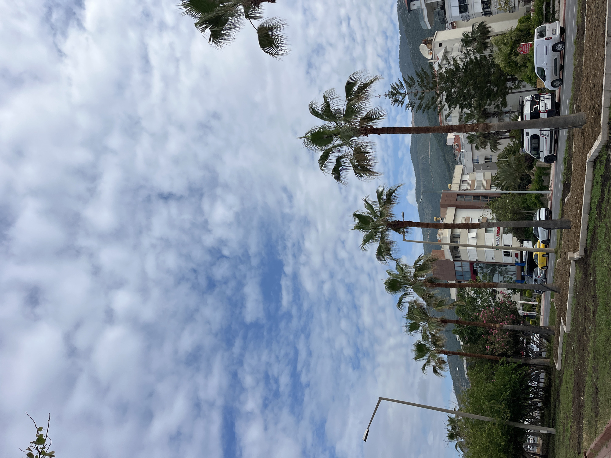 The image depicts a street view in Alanya, Turkey, showcasing a row of palm trees lining the sidewalk. A street runs parallel to the palm trees, with various vehicles, including cars, vans, and a yellow taxi, visible. Behind the street, there are several multi-story buildings, some of which appear to be apartments or hotels, set against a backdrop of a mountain range. The sky is partly cloudy with patches of blue. The photograph is taken from a low angle, looking up at the palm trees and the sky. The location appears to be a main thoroughfare or tourist area in Alanya.