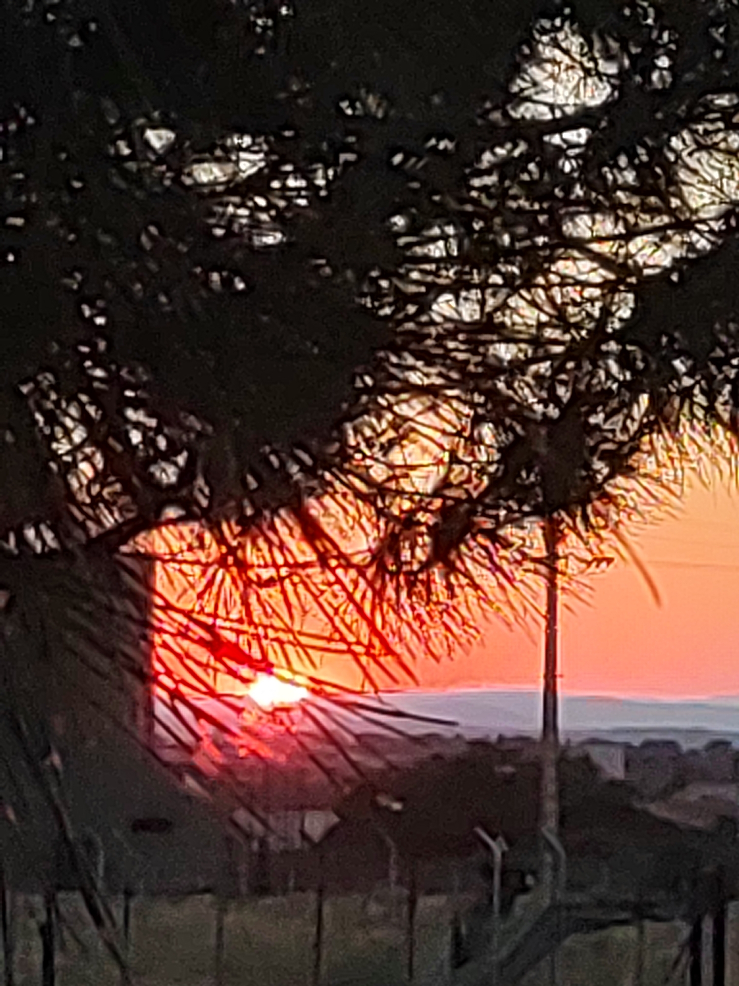 The image shows a sunset viewed through the branches of a tree, with the sun's rays creating a vibrant orange and red glow. In the foreground, there is a dark silhouette of the tree and a fence. The middle ground shows a blurred landscape with some buildings and a horizon line where the sky meets the land. The sky is a gradient of orange, red, and light blue, indicating a sunset. The scene is outdoors, likely in a suburban or rural area given the presence of trees, a fence, and distant buildings. The image is grainy and the focus is soft, suggesting it was taken with a handheld camera in low light conditions. There are no people visible in the image. The location specified as Sobradillo, Spain, is a municipality in the province of Salamanca.