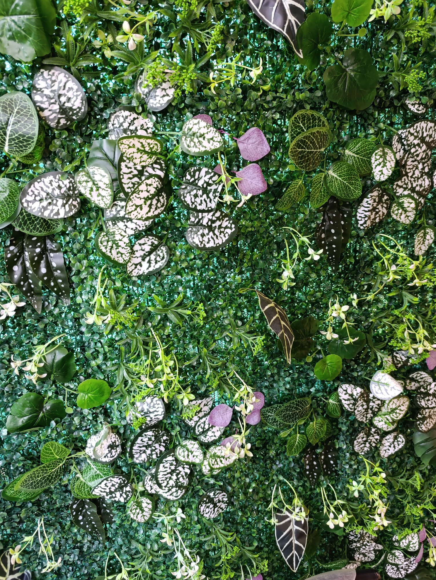 The image displays a close-up, overhead view of a wall covered in artificial greenery, including various types of leaves and small floral accents. The dominant colors are shades of green, with accents of white, black, and a few purple leaves. The artificial foliage is dense and textured, creating a lush, verdant backdrop. The lighting appears to be bright and even, highlighting the details of the artificial plants. The image does not contain any people, actions, interactions, or discernible environmental context that would suggest a specific location in Dubăsari town council, Moldova, or any other city. It is a purely decorative arrangement of artificial plants.