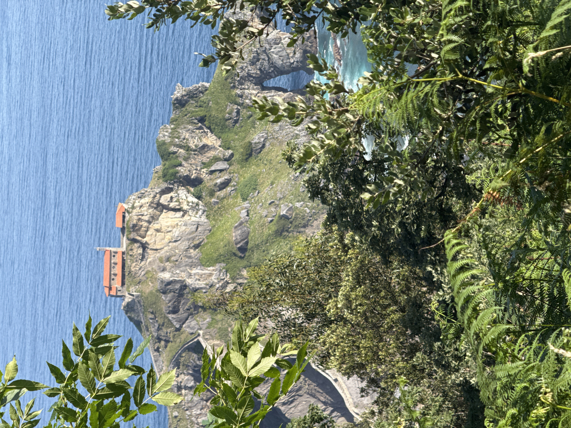 An aerial shot captures the iconic San Juan de Gaztelugatxe, a hermitage situated on a small islet off the coast of Bermeo, Spain. The islet is connected to the mainland by a stone staircase that winds its way up to the hermitage, which is a small building with a red tiled roof. The surrounding water is a deep blue, and the rocky coastline is covered in lush green vegetation. The scene is framed by the vibrant green leaves of trees in the foreground, adding a natural and dynamic element to the composition.
