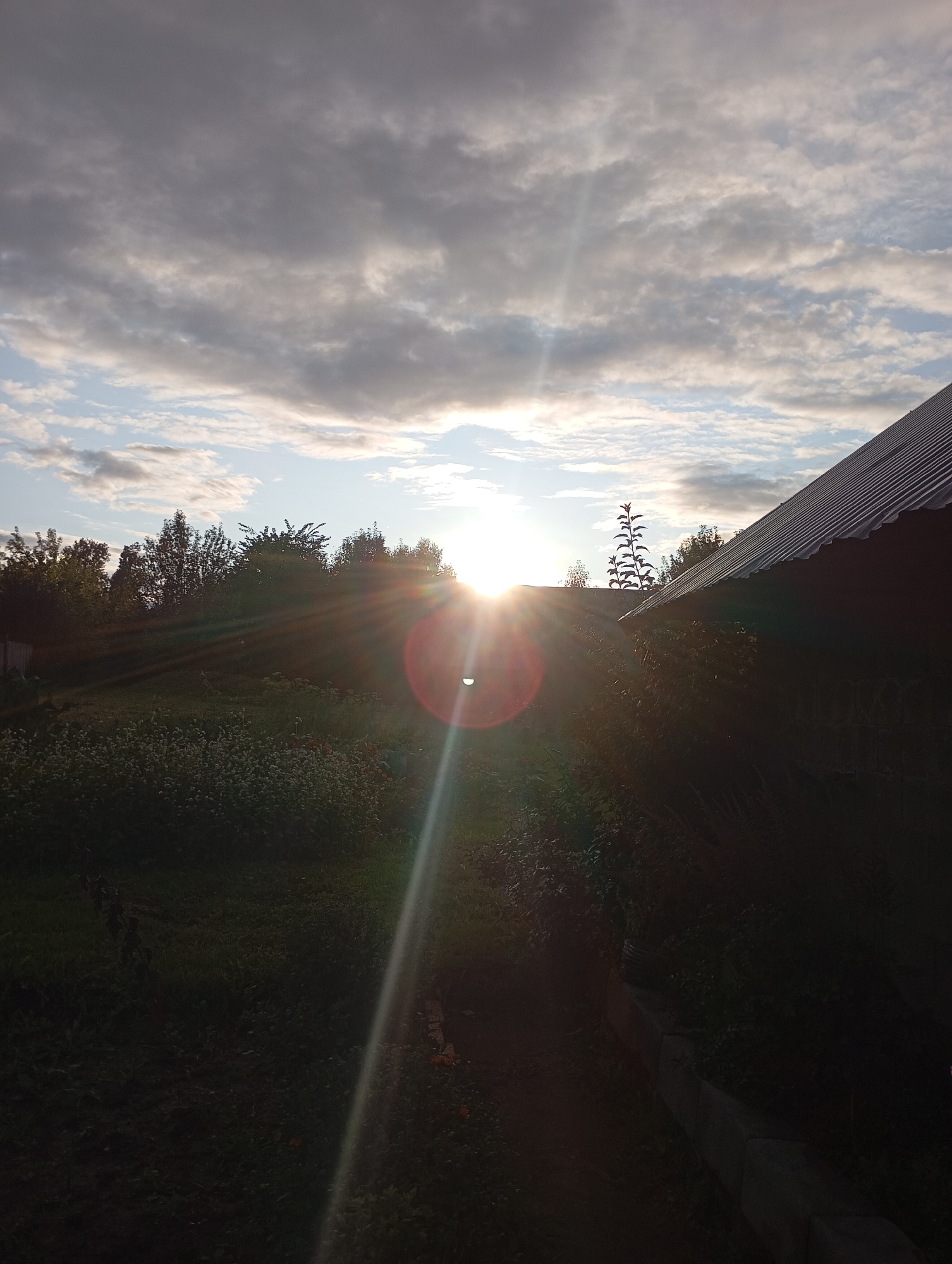 The image shows a sunset in the city of Fokinskoye, Russia. The sun is low in the sky, casting long shadows and creating a lens flare. There are clouds in the sky, some of which are illuminated by the sun. In the foreground, there is a building with a corrugated metal roof, and a patch of green grass. There are also trees and bushes. The overall scene is one of a peaceful evening.