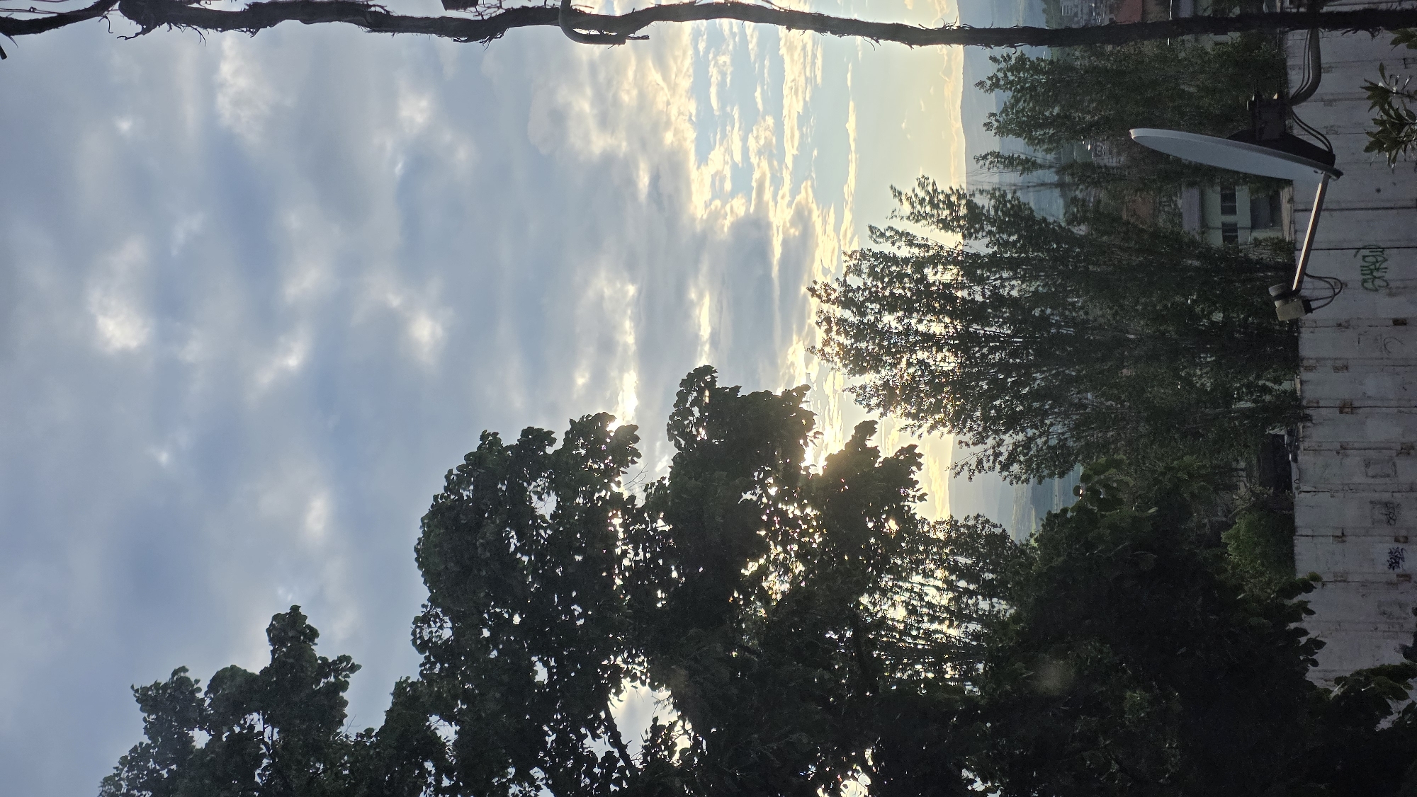 The image depicts an outdoor scene, likely at sunrise or sunset, characterized by strong backlighting and a high-contrast palette. The view appears to be from a slightly elevated position, looking outwards.
The sky occupies a significant portion of the upper frame, showcasing scattered clouds against a blue-grey expanse. A brilliant light source, presumably the sun, is visible on the right, partially obscured by clouds and the dense foliage of trees. This creates a warm, golden glow that permeates the sky and edges of the clouds.
In the foreground and mid-ground, numerous trees stand silhouetted against the bright sky. Their dark green canopies are sharply defined, with sunlight occasionally piercing through the leaves, creating bright highlights. Behind these trees, a distant landscape of rolling hills or mountains is visible under a lighter, somewhat hazy sky, suggesting a broad vista over Blagoevgrad, Bulgaria. Faint outlines of urban buildings can be discerned on the horizon.
On the far right, a robust, light-colored artificial wall or barrier, possibly a container or part of a building, stands prominently. It is covered in graffiti, with some visible letters resembling "SHCK" or "SHOK," alongside other indistinct scribbles. A white satellite dish is securely mounted on this wall. At the very top edge of the frame, dark, indistinct elements, possibly branches or wires, stretch horizontally, partially framing the scene.
The image effectively blends natural elements with signs of human presence, all illuminated by the dramatic light of a low sun.