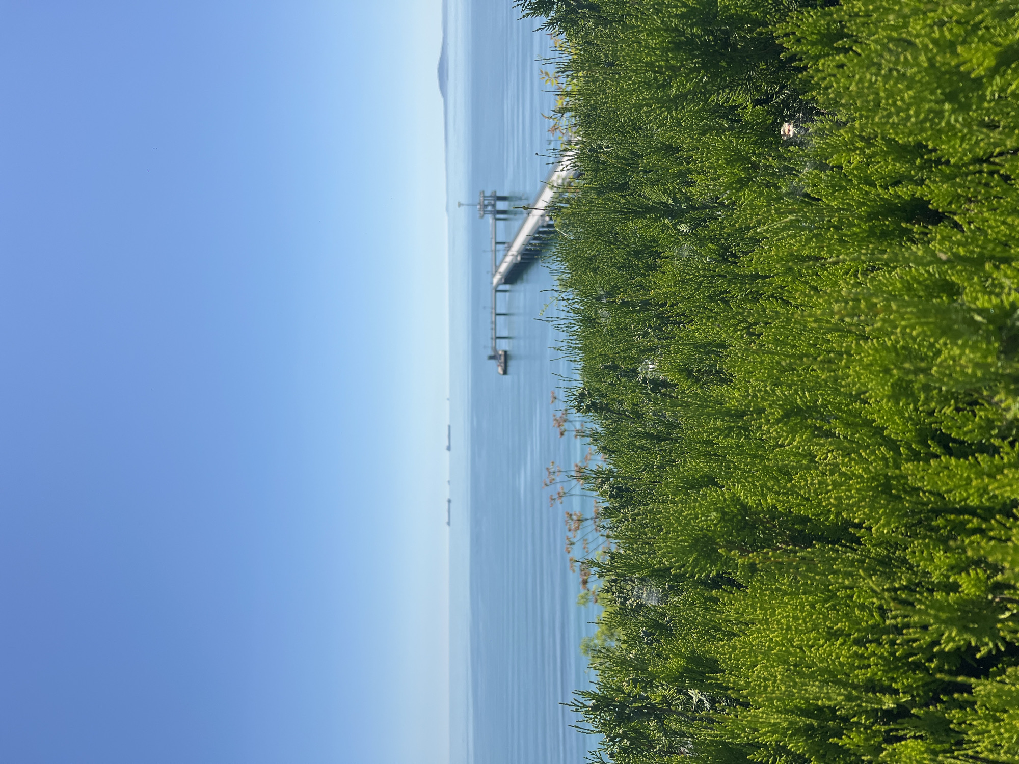 The image depicts a coastal scene. On the right side of the frame is a dense green bush, likely a hedge or shrubbery. To the left is a body of water, possibly the sea, with a blue hue. A long pier or structure stretches into the water, supported by pilings. In the distance, a faint landmass is visible on the horizon. The sky above is clear and blue.
The image appears to be taken in Burgas, Bulgaria, based on the location of the pier.