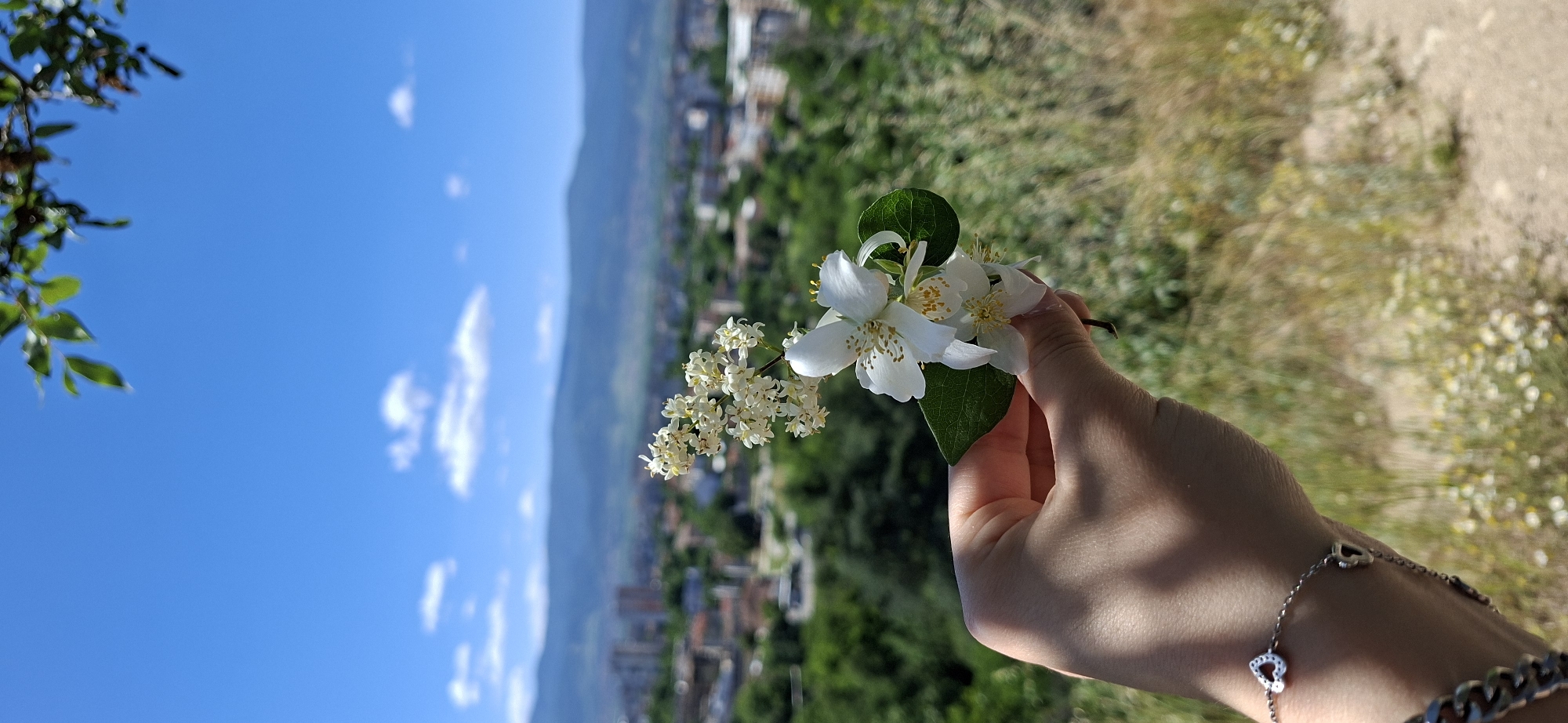 A person's hand holds a sprig of white flowers with green leaves. The background is a blurred cityscape with green hills and a blue sky with scattered clouds. The location is likely Plovdiv, Bulgaria, given the context. The person wears a bracelet with heart-shaped charms.