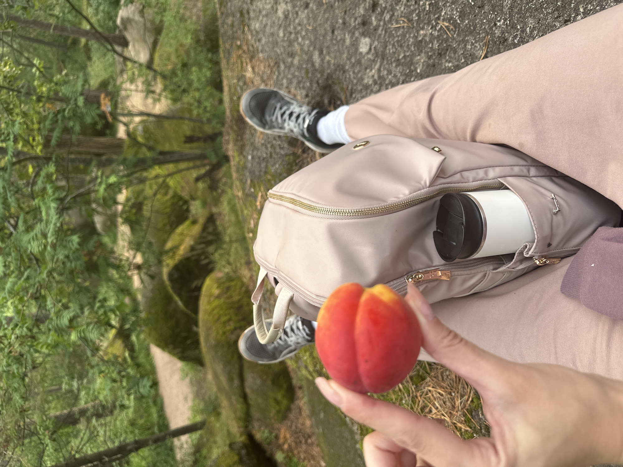 A first-person perspective shot captures a person holding a ripe peach in their left hand, its red and yellow hues vibrant against the blurred green forest background. The person's legs, clad in light pink pants and gray athletic shoes with white socks, are visible, suggesting they are seated on a large rock. A light pink backpack rests on their lap, with a white insulated water bottle tucked into a side pocket. The forest setting features moss-covered rocks and a path winding through the trees, hinting at an outdoor recreation area.