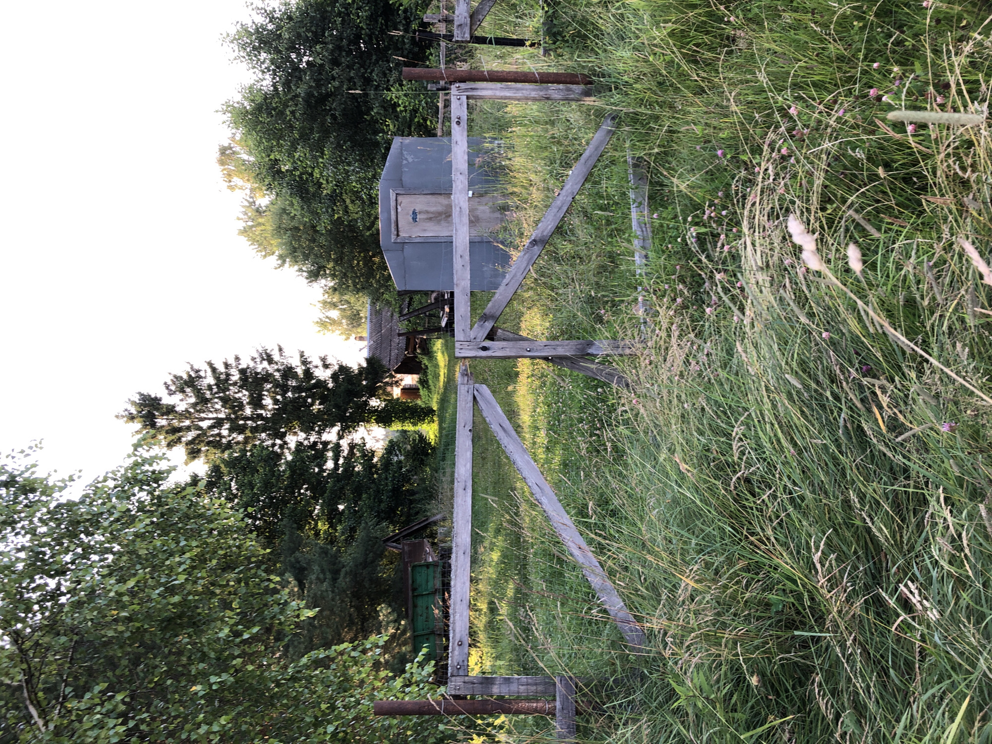 This is a medium-shot, eye-level, outdoor photograph taken in Sadko, Russia, during daylight. The foreground is dominated by tall, green grass and some pink wildflowers, with a rustic wooden gate stretched across the center. The gate is made of weathered grey planks, with a diagonal brace on the right side. Beyond the gate, the environment transitions to a grassy area with scattered vegetation. In the mid-ground, there is a small, grey, shed-like structure with a wooden door. To the left of the shed, a green metal trailer is visible, partially obscured by trees. In the background, a dense cluster of various trees, including deciduous and coniferous varieties, creates a natural backdrop. The sky is overcast and bright.