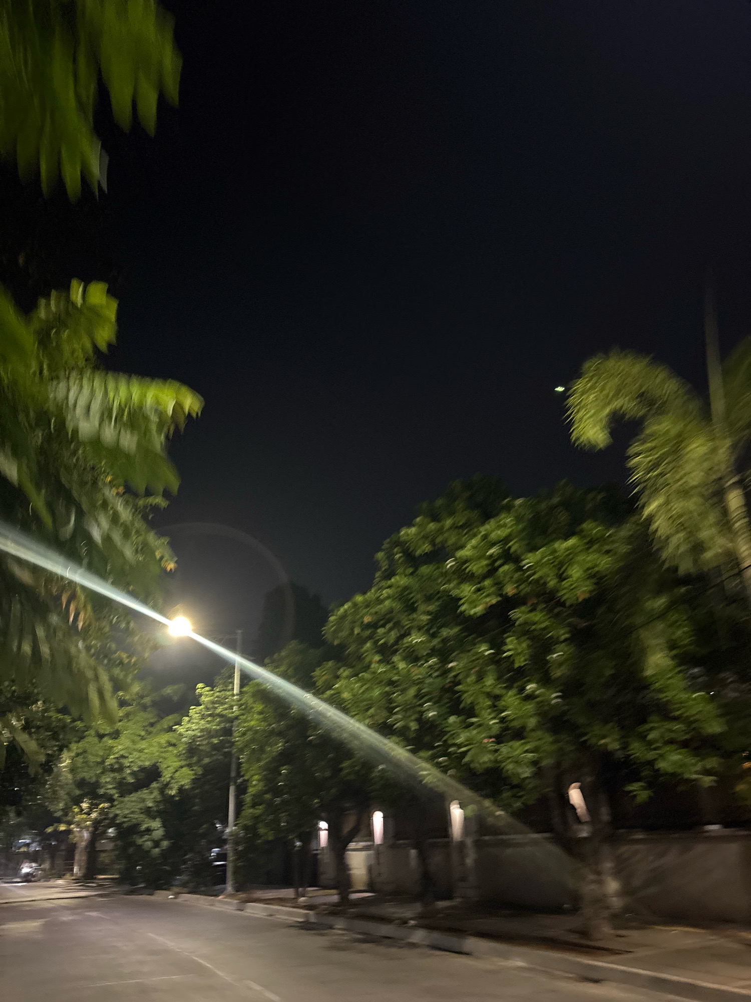 The image depicts a street scene at night, possibly in North Jakarta, Indonesia, characterized by lush green trees lining a road. A bright streetlight illuminates the scene with a strong diagonal beam, creating a lens flare effect across the frame. The foliage of the trees appears blurred, suggesting motion or low light conditions. In the background, structures with illuminated windows can be seen, hinting at residential or commercial buildings. The road itself is visible, with white lines marking the lanes. A faint, circular rainbow-like artifact is visible in the sky above the streetlight. The overall atmosphere is dark and somewhat hazy, with the light from the streetlamp being the dominant source of illumination.