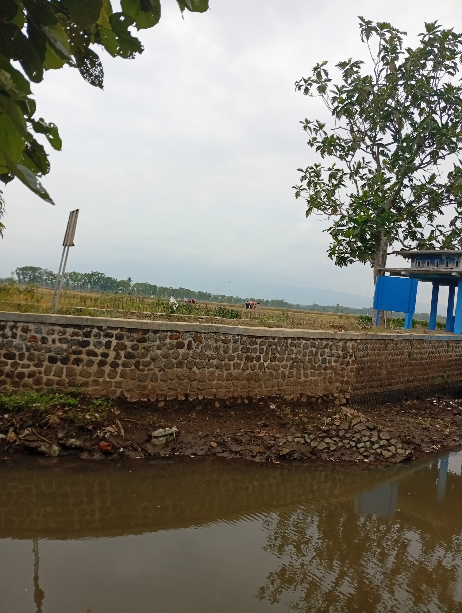 The image depicts a tranquil scene of a rural landscape. In the foreground, a murky body of water reflects the overcast sky and the surrounding environment. The water's edge is lined with a low, textured wall constructed from irregularly shaped stones. Above this wall, a patch of uneven ground is covered with dirt, debris, and scattered rocks.
Further back, a vast expanse of agricultural fields stretches towards a distant horizon. The fields appear to be a mix of cultivated crops and dry, harvested land, with a few sparse trees dotting the landscape. In the mid-ground, a brown and orange object, possibly a vehicle or structure, is visible amongst the fields. A tall, thin pole with reflective surfaces stands prominently on the left side of the frame, near the stone wall.
On the right side of the image, a blue and white elevated structure with open sides and a roof is situated amidst trees. A large tree with dense green foliage grows to the left of this structure, its branches reaching towards the sky. The sky itself is a pale, cloudy gray, suggesting an overcast day. The overall impression is one of natural simplicity and a quiet, possibly agricultural, setting.