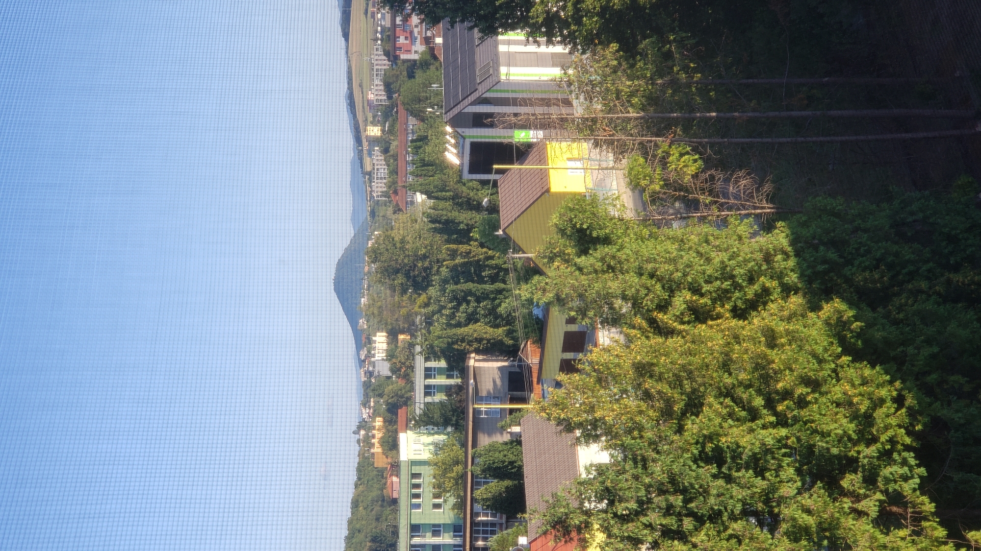 The image depicts a residential area in Prešov, Slovakia, likely viewed from an elevated position. In the foreground, dense green coniferous trees dominate the scene, casting shadows and obscuring some of the structures behind them. Beyond the trees, several houses and apartment buildings are visible. One prominent building in the mid-ground is yellow with a brown roof. To its right, a more modern structure is visible with a grey and white striped facade and solar panels on its roof. Further in the background, a city skyline is seen with numerous buildings of varying heights and architectural styles, interspersed with more trees. In the far distance, a rounded, tree-covered hill or mountain rises above the city, with a clear blue sky overhead. The overall impression is of a suburban or semi-urban environment on a clear, sunny day. The distinct grid pattern of the image suggests it was taken through a screen or window.