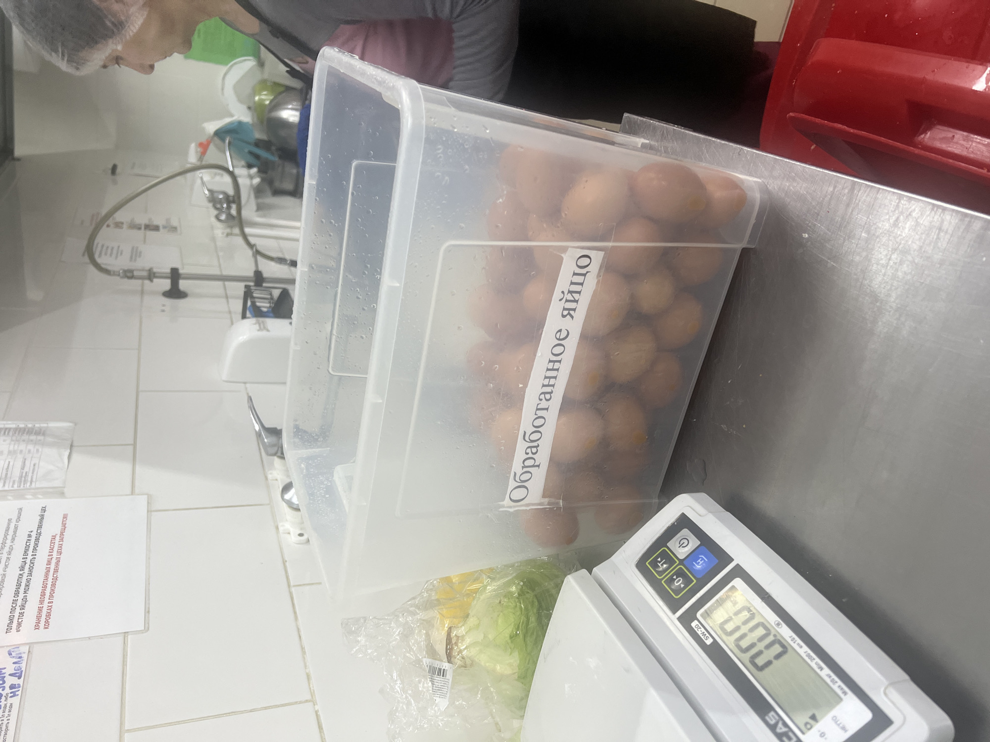 In a commercial kitchen or food preparation area in Votkinsk, Russia, a partially visible person wearing a hair net works in the background near a sink. The foreground features two clear plastic containers filled with brown eggs, exhibiting water droplets on their surfaces. The front container has a label that reads "Обработанное яйцо" (Processed/Treated Egg). Adjacent to the containers is a white digital weighing scale, model CAS SW-20, displaying "0.00", indicating it is ready for use. A head of lettuce in a clear plastic bag is also visible. On the left, a white document with Russian text is attached to a tiled wall. Notable instructions on the document state: "ТОЛЬКО ПОСЛЕ ОБРАБОТКИ, ЯЙЦА В ЕМКОСТИ № 4 «ЧИСТОЕ ЯЙЦО» МОЖНО ЗАНОСИТЬ В ПРОИЗВОДСТВЕННЫЙ ЦЕХ." (ONLY AFTER PROCESSING, EGGS IN CONTAINER NO. 4 "CLEAN EGG" MAY BE BROUGHT INTO THE PRODUCTION AREA.) and "ХРАНЕНИЕ НЕОБРАБОТАННЫХ ЯИЦ В КАССЕТАХ, КОРОБКАХ В ПРОИЗВОДСТВЕННЫХ ЦЕХАХ ЗАПРЕЩАЕТСЯ" (STORAGE OF UNPROCESSED EGGS IN TRAYS, BOXES IN PRODUCTION AREAS IS PROHIBITED). The scene suggests an emphasis on food safety and proper handling procedures for eggs. The lighting is artificial, consistent with an indoor commercial setting.