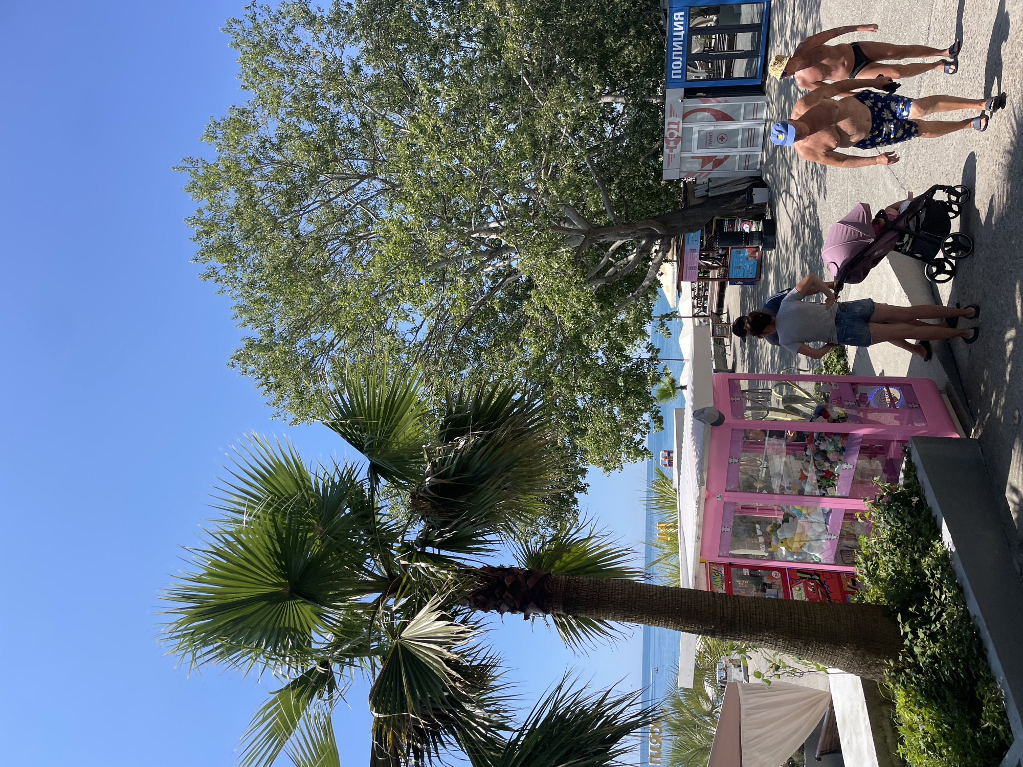 The image shows a sunny day in Sochi, Russia. In the foreground, a pink claw machine filled with stuffed animals sits next to a palm tree. Behind it, a large leafy tree provides shade. To the right, two buildings with signs in Russian, one labeled "ПОЛИЦИЯ" (Police), stand on a paved walkway. Two men in swimwear walk towards the right, one wearing a blue cap and patterned shorts, the other a yellow hat and black trunks. A woman in denim shorts pushes a stroller with a baby inside, accompanied by another person. In the background, the Black Sea is visible, with a few boats on the water and some beach umbrellas. The scene appears to be a resort area, likely a promenade or park near the beach.