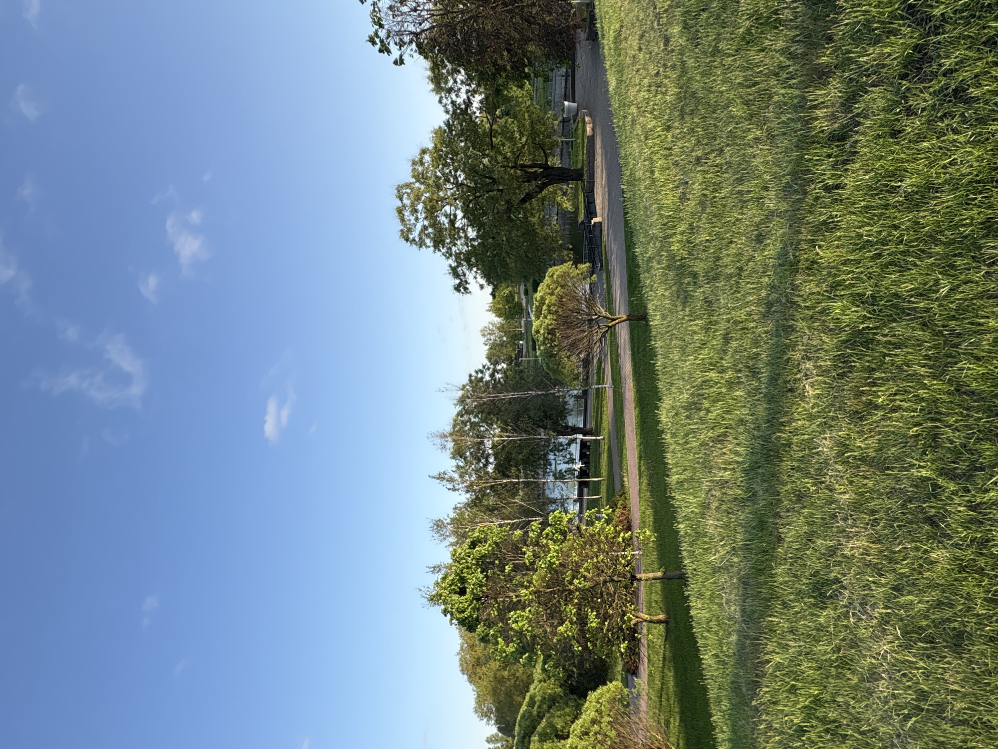 The image shows a park scene in Minsk, Belarus. A pathway runs between a grassy area and a line of trees and bushes. The sky is blue with scattered clouds. A building with reflective windows can be seen behind some of the trees.