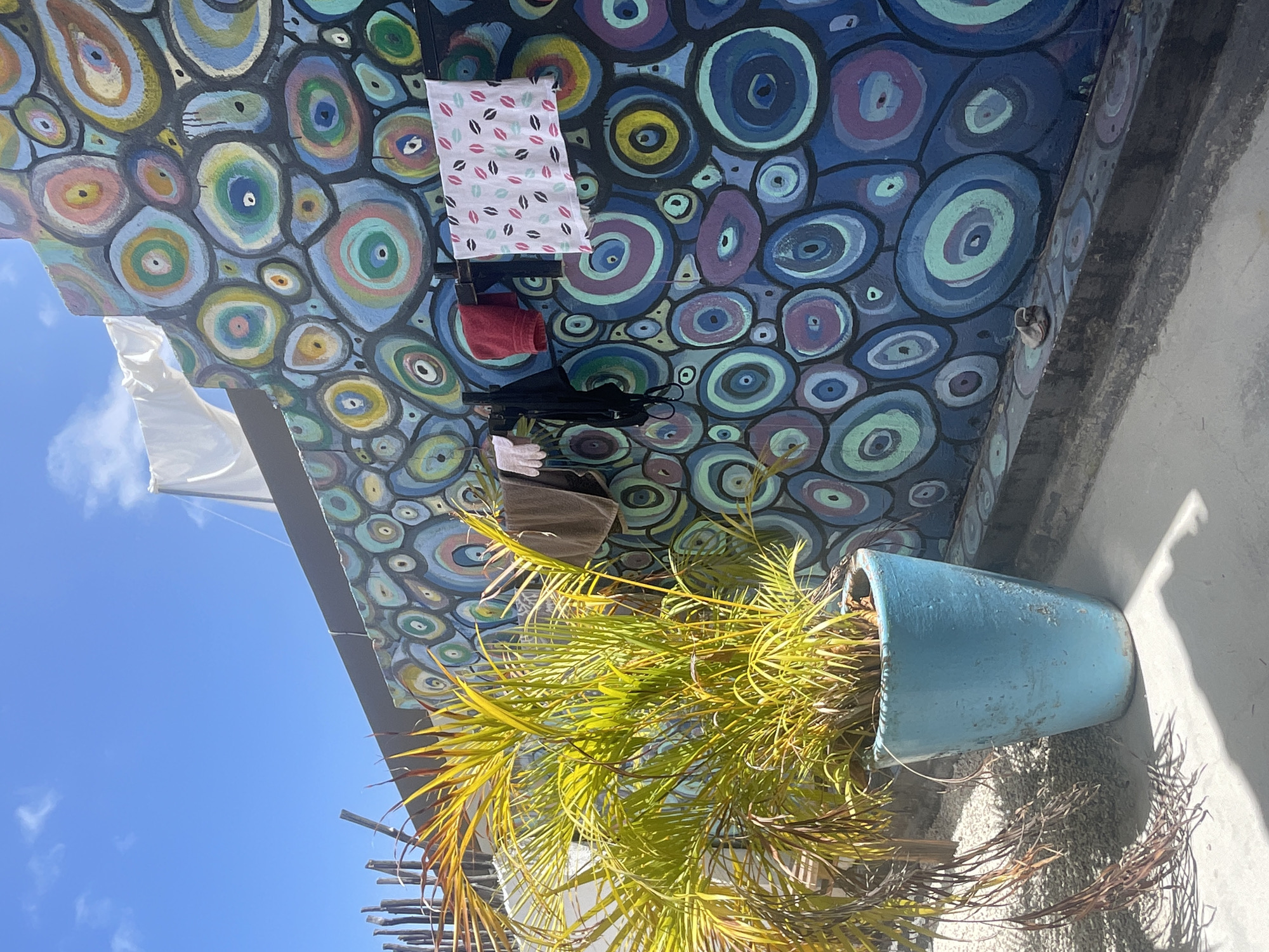 A medium, full shot shows a plant in a blue pot with yellowing leaves next to a painted roof and hanging clothes on an outdoor clothesline. The picture is taken at an angle to the roof, showing a corner with blue sky in the left of the frame. The roof is painted in a circle motif of different blues, greens, and purples, with the clothesline holding a white towel with lips on it and a red towel. A brown tote and black umbrella hang underneath. The plant is in a blue pot with dried leaves around its base. The environment is in Playa del Carmen, Mexico.