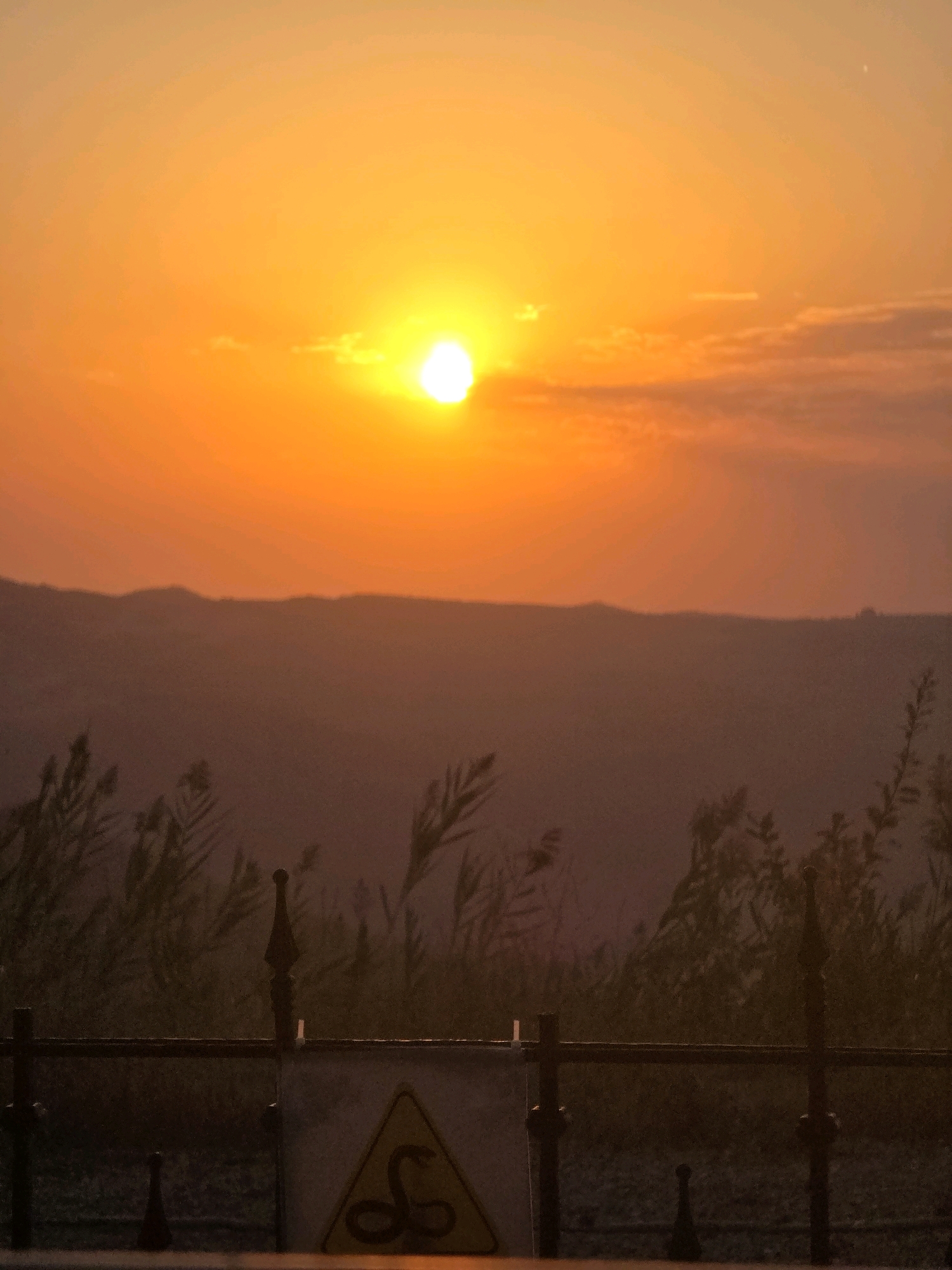 A wide-angle, low-angle, medium shot captured at sunset in Muğanlı, Azerbaijan. The sun, a bright yellow orb, is positioned in the upper quadrant, casting a warm orange glow across the sky and hazy, silhouetted hills in the midground. In the foreground, a dark metal fence runs horizontally, with spiked finials visible on posts. To the right of the fence, a yellow triangular warning sign with a black snake icon is mounted on a white rectangular surface. Tall, thin reeds and other vegetation grow behind the fence. The overall lighting is dim due to the approaching twilight, with the bright sun being the primary light source.