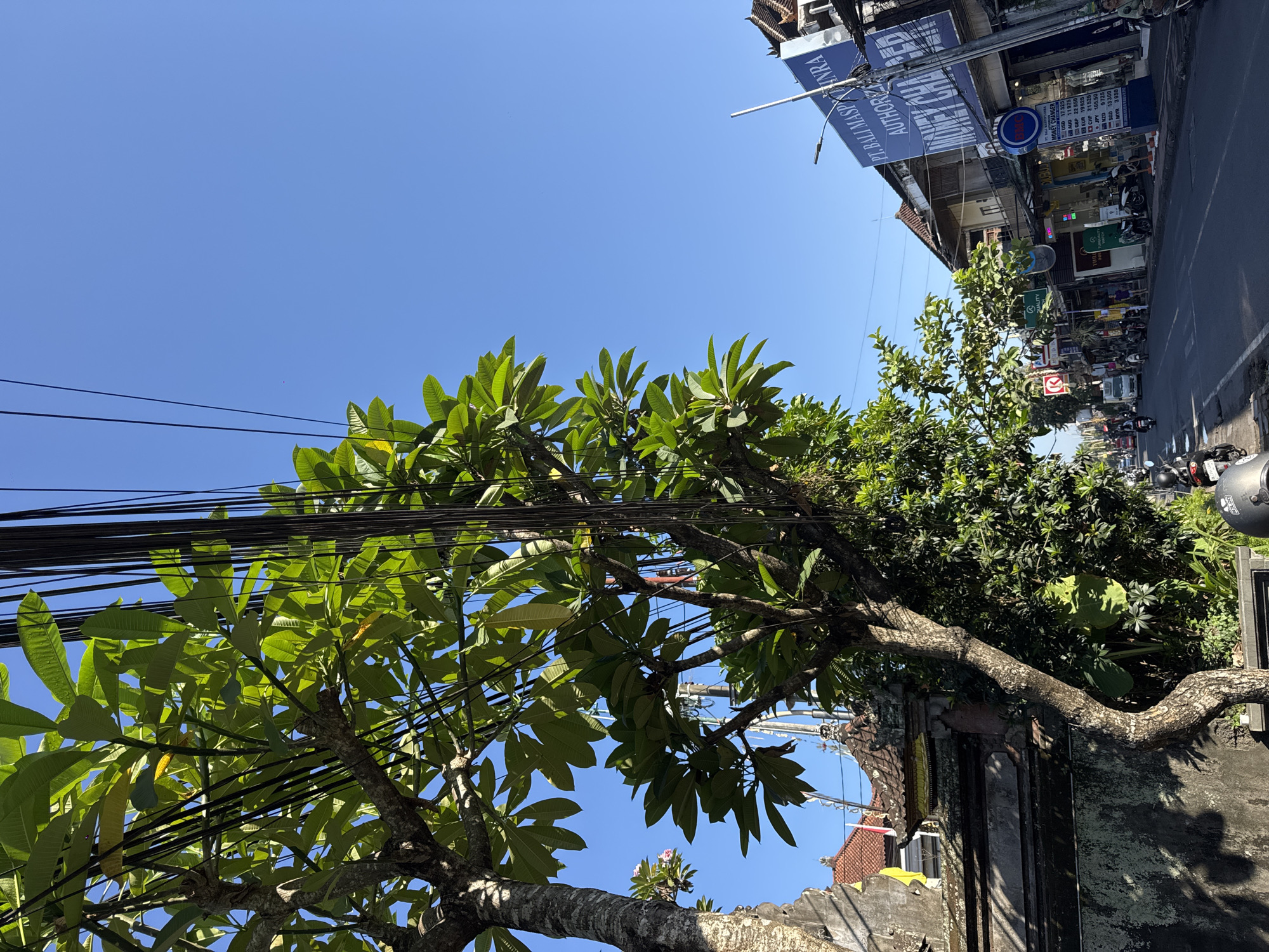 A daytime, eye-level shot captures a street scene in Ubud District, Indonesia. The image is dominated by lush green foliage from trees in the foreground, with tangled overhead wires crisscrossing the frame. To the left, a textured stone wall and part of a building with traditional Balinese architecture are visible. The street itself is paved and lined with shops and businesses. Signs include "PT. BALI MASPEXINRA AUTHORIZED MONEY CHANGER" with displayed exchange rates, and other businesses labeled "TURQUOISE" and "BBG MONEY CHANGER". Several motorcycles are parked and in motion on the street, and a few people are seen walking or riding. The clear blue sky indicates fair weather.