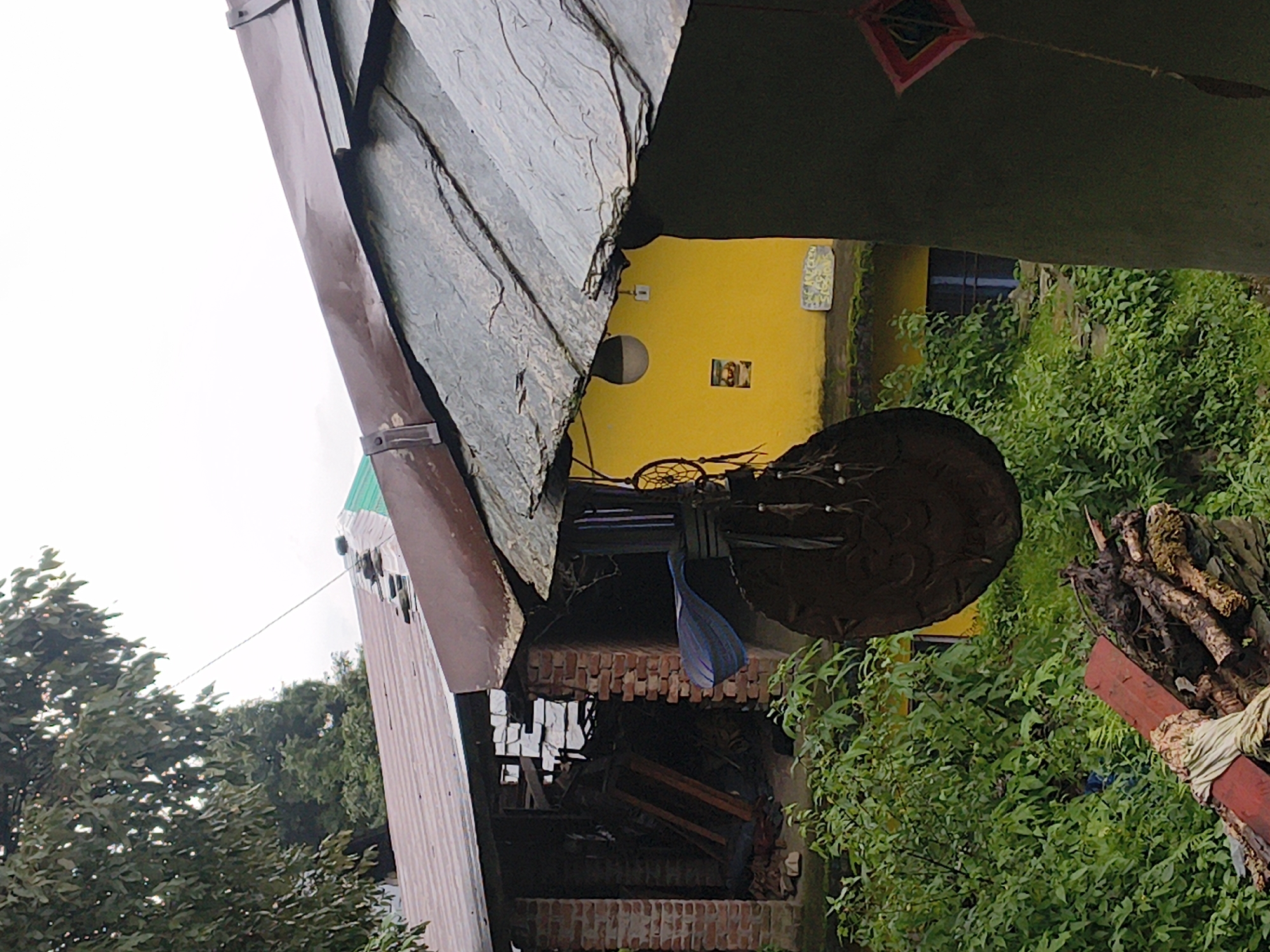 In Haini, India, the image captures a scene with several rustic buildings and lush greenery. The foreground is dominated by a large, dark, circular object hanging from a wire, adorned with feathers and beads, suggestive of a dreamcatcher or a decorative amulet. To the right, a dark structure partially obscures a section of a bright yellow building. A small, diamond-shaped kite with red and green accents hangs from a string on this dark structure. Behind the yellow building, a window with dark blue panes is visible.
Further into the scene, to the left, is a partially visible building constructed with red bricks. Its roof is made of corrugated metal, and portions of the building appear open, revealing wooden beams and possibly some stored items. Adjacent to this is another structure with a dark, slate-tiled roof that extends over the yellow building.
Dense green foliage and trees frame the buildings, indicating a natural and somewhat overgrown environment. In the lower left quadrant, a pile of weathered wood, including red-painted planks and gnarled branches, rests on the ground. The overall impression is one of a rural or semi-rural setting with a mix of natural and man-made elements.