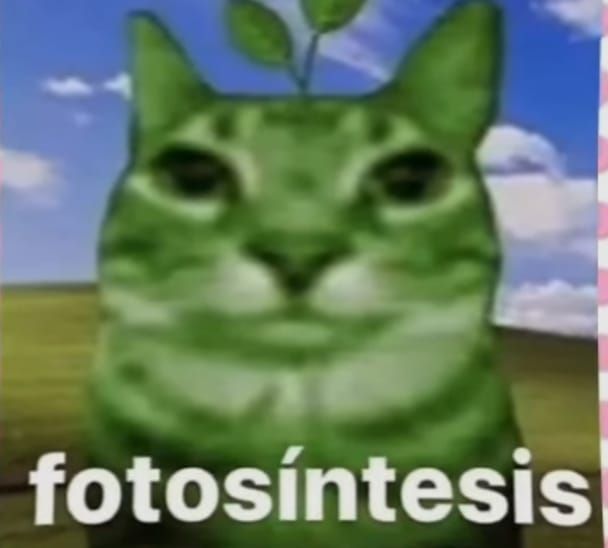 The image depicts a green cat, with a small, thin green plant growing out of its head, looking directly at the viewer. The cat appears to be smiling. The image has the text “fotosintesis” superimposed over the cat’s chest. The background is a blurry, out-of-focus image of a grassy field and a blue sky with white clouds. The coordinates -7.45472, 111.427584, correspond to a location in the city of Geneng, Indonesia.