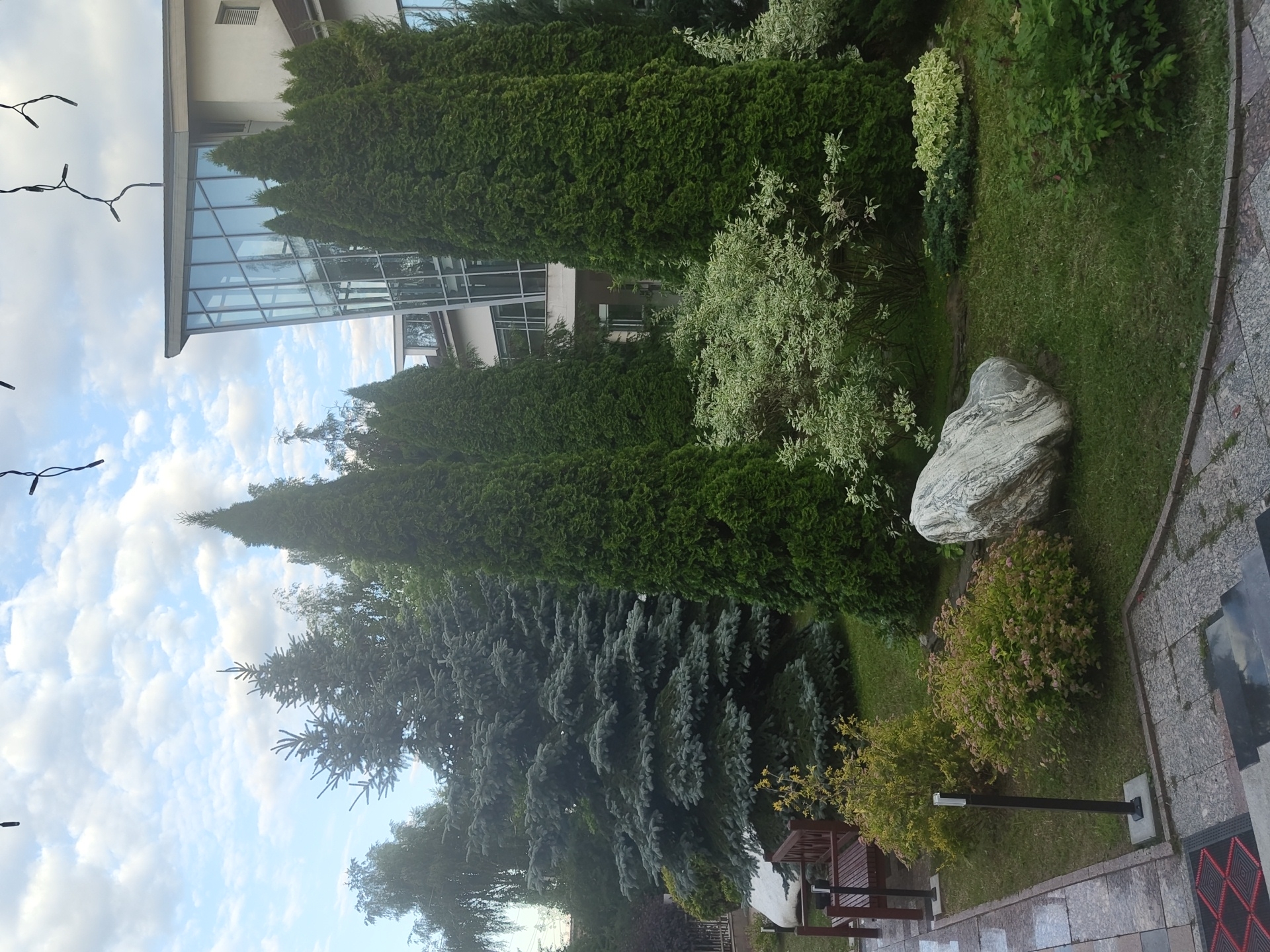 The image depicts an outdoor scene with a building and landscaping in Цибино, Russia. In the foreground, a pathway paved with grey and patterned tiles leads to a set of stone steps. To the left of the pathway, a wooden bench sits on a patch of grass, adjacent to a small, yellow-leaved bush. Further into the scene, a large, light-colored boulder with grey veining is prominently displayed on the lawn. Several tall, conical evergreen trees, likely cypresses, dominate the mid-ground, interspersed with a bush featuring variegated white and green leaves. Behind these, a large blue spruce tree is visible, along with other assorted greenery. In the background, a modern building with a distinctive angled glass facade rises above the trees. The sky above is partly cloudy with a blue hue. Strings of small lights are visible hanging from above, suggesting a decorative element. No people are present in the image.