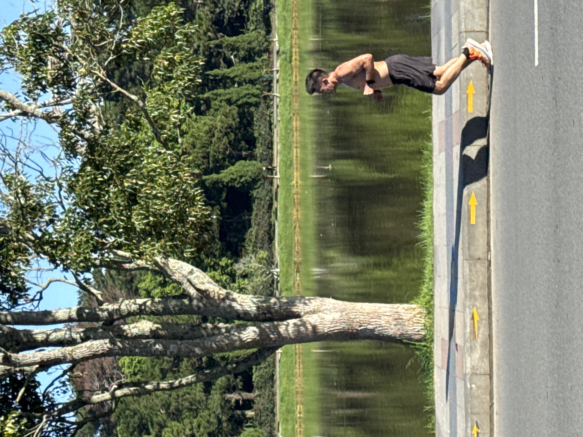 In Da Lat, Vietnam, a shirtless man with dark hair runs along a paved sidewalk next to a tranquil lake. He wears black shorts and orange and white running shoes. The sidewalk is bordered by a curb with yellow directional arrows painted on its side. A large tree with a textured bark stands to the left of the frame, its branches extending over the sidewalk and into the scene. The lake reflects the surrounding lush green trees and the clear blue sky. The background consists of a dense forest with various types of trees. The lighting suggests it is daytime with shadows cast by the tree and the runner on the sidewalk.