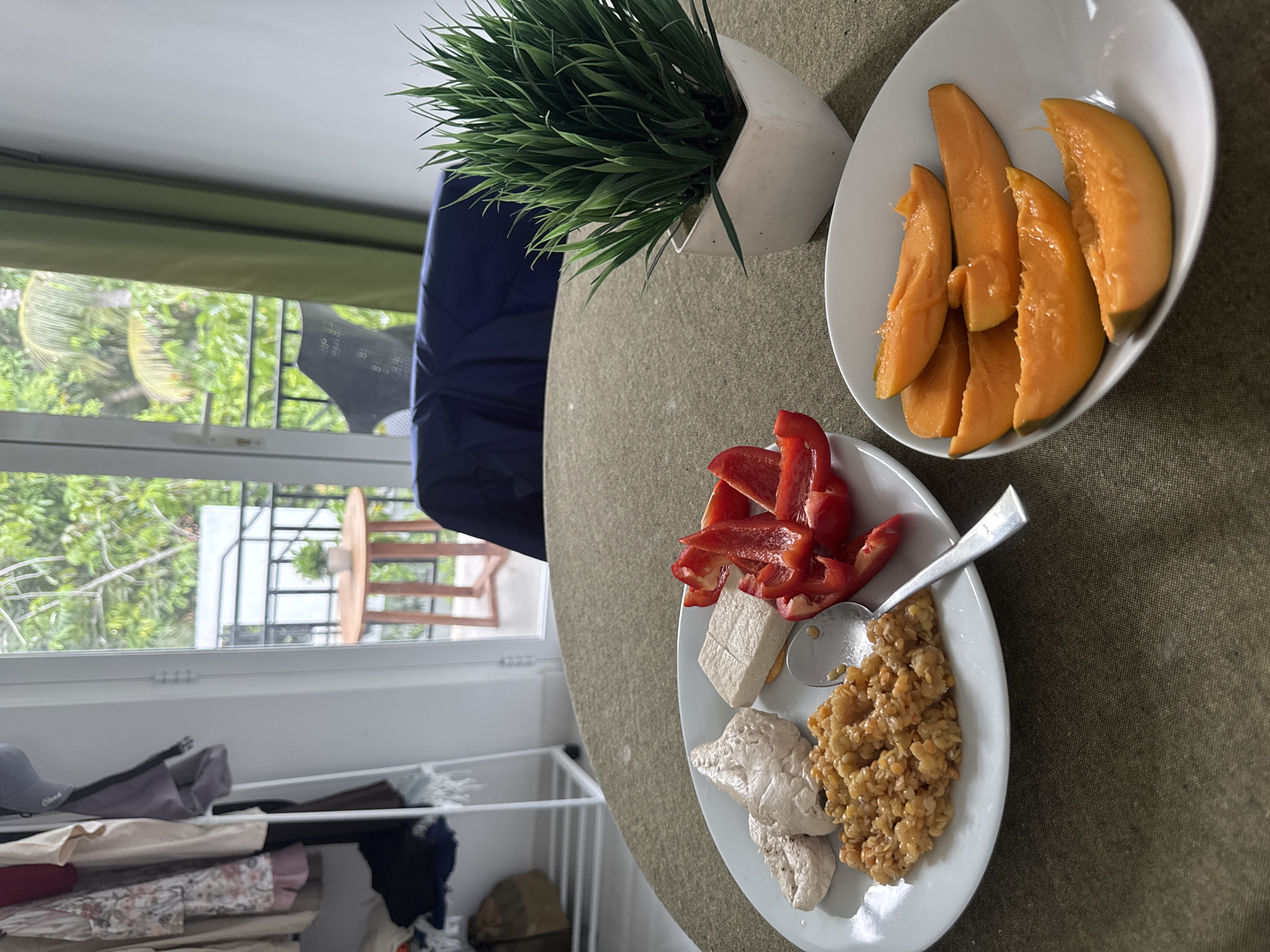 The image shows a tabletop setting in Thalaramba, Sri Lanka, with two white plates of food and a potted plant. The plate on the right contains slices of mango. The plate on the bottom left features sliced red bell peppers, cubes of tofu, and a lentil dish with a spoon. A potted green plant sits behind the plates. A blue chair and a window are visible in the background, showing foliage outside. A white shelf with clothes is located beneath the window. The tabletop has a green, textured surface.