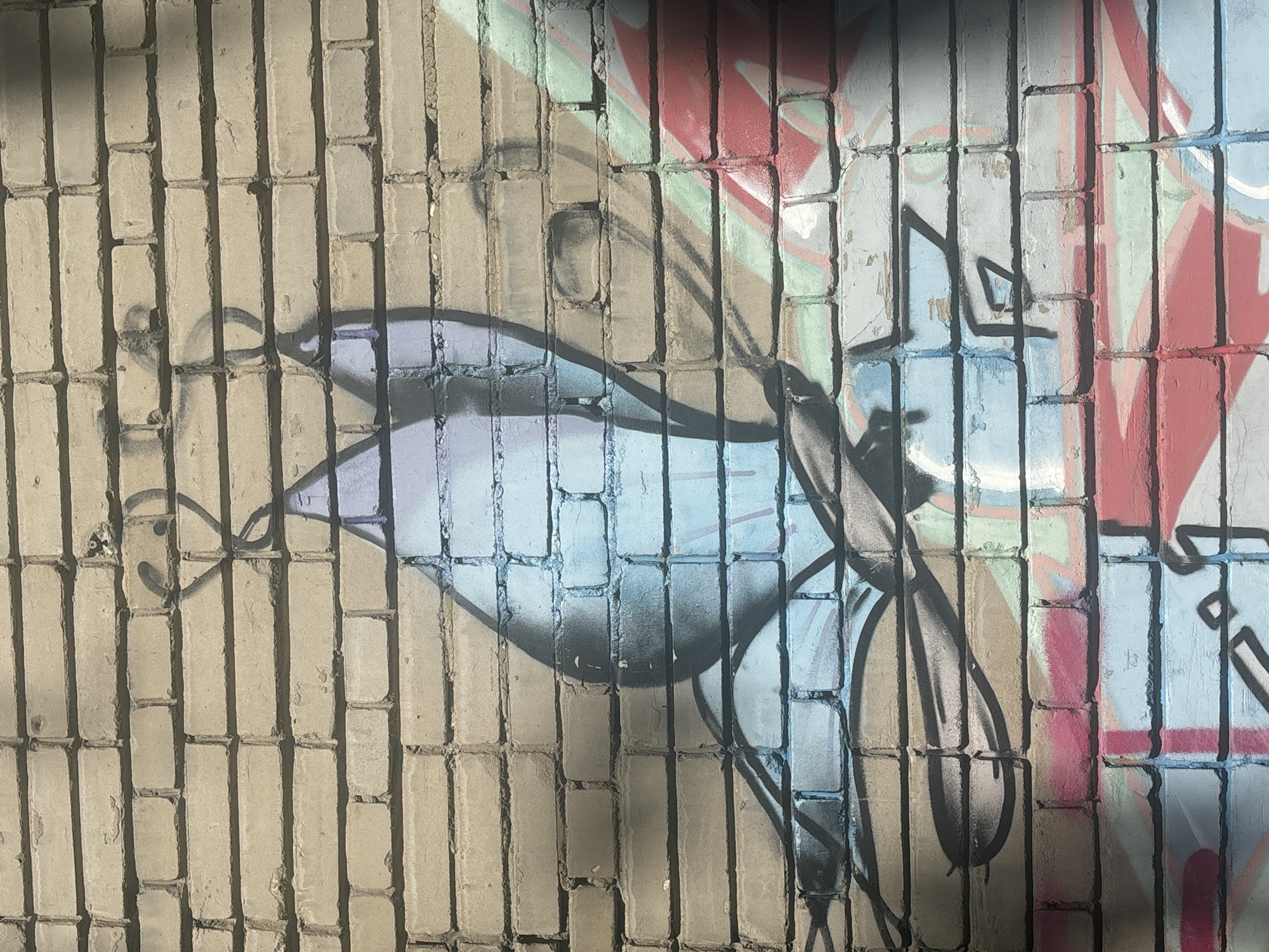The image shows graffiti of a butterfly on a brick wall. The butterfly is rendered in shades of blue and purple, with black outlines. It appears to be in flight, with its wings spread. The brick wall is light gray and weathered, with some signs of damage and age. There are also other graffiti elements visible, including splashes of red and green paint. The lighting suggests it is daytime, with shadows cast on the wall. The location is identified as Novosibirsk, Russia.