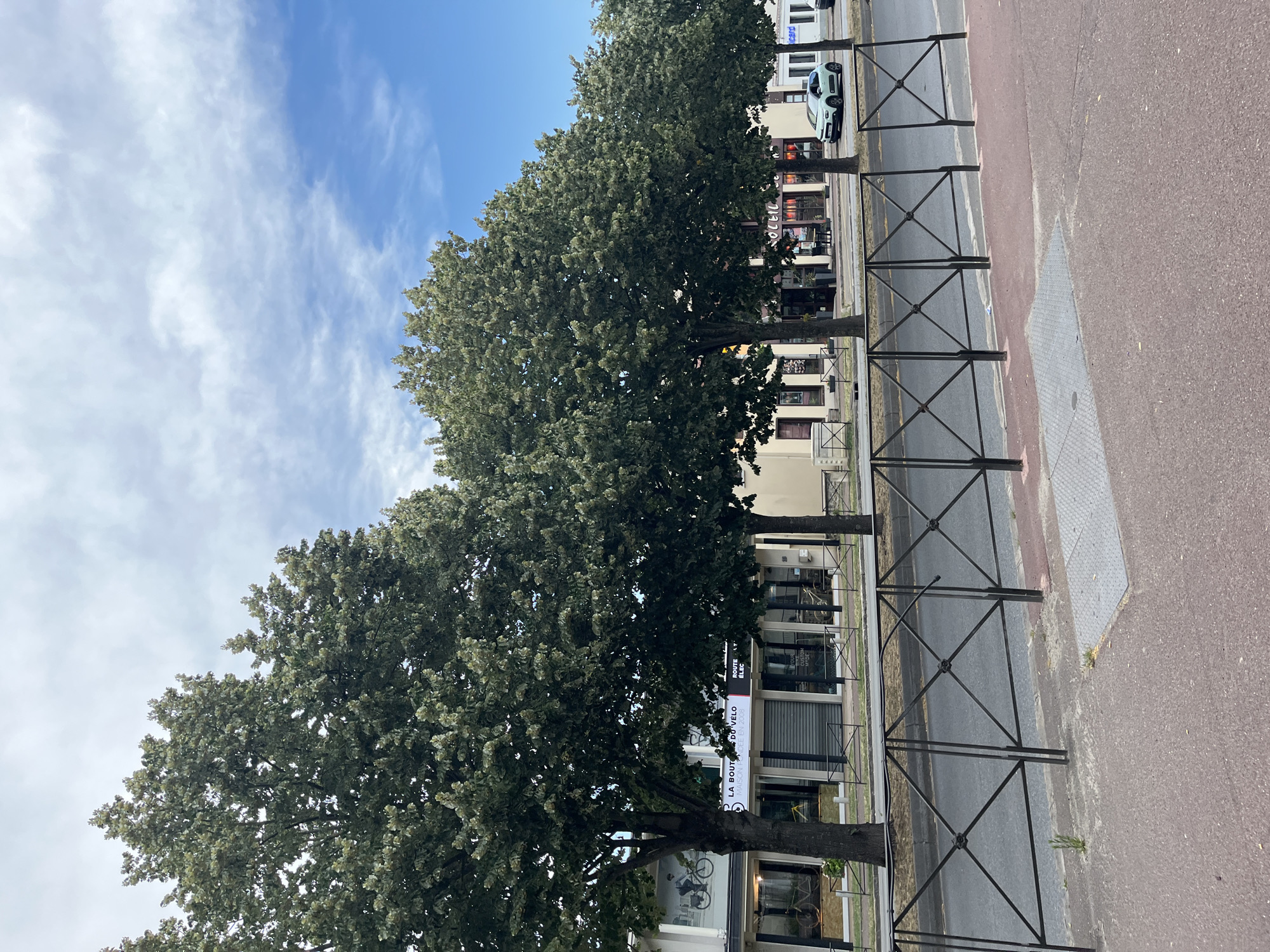 The image captures a street scene in Le Port-Marly, France, featuring a row of large, leafy trees lining the sidewalk. Behind the trees, commercial buildings with storefronts are visible. One storefront prominently displays text that appears to be "LA BOUTIQUE DU VELO" (The Bike Shop) and "MAISON FONDEE EN 2008" (Company Founded in 2008). Another shop has a sign reading "ROUTE D'ELECT" and "YOUR BIKE CUSTOM MADE". A light green compact car is parked on the street. The sky is partly cloudy with patches of blue. A black metal fence separates the sidewalk from the street. The sidewalk is paved with red and grey materials.