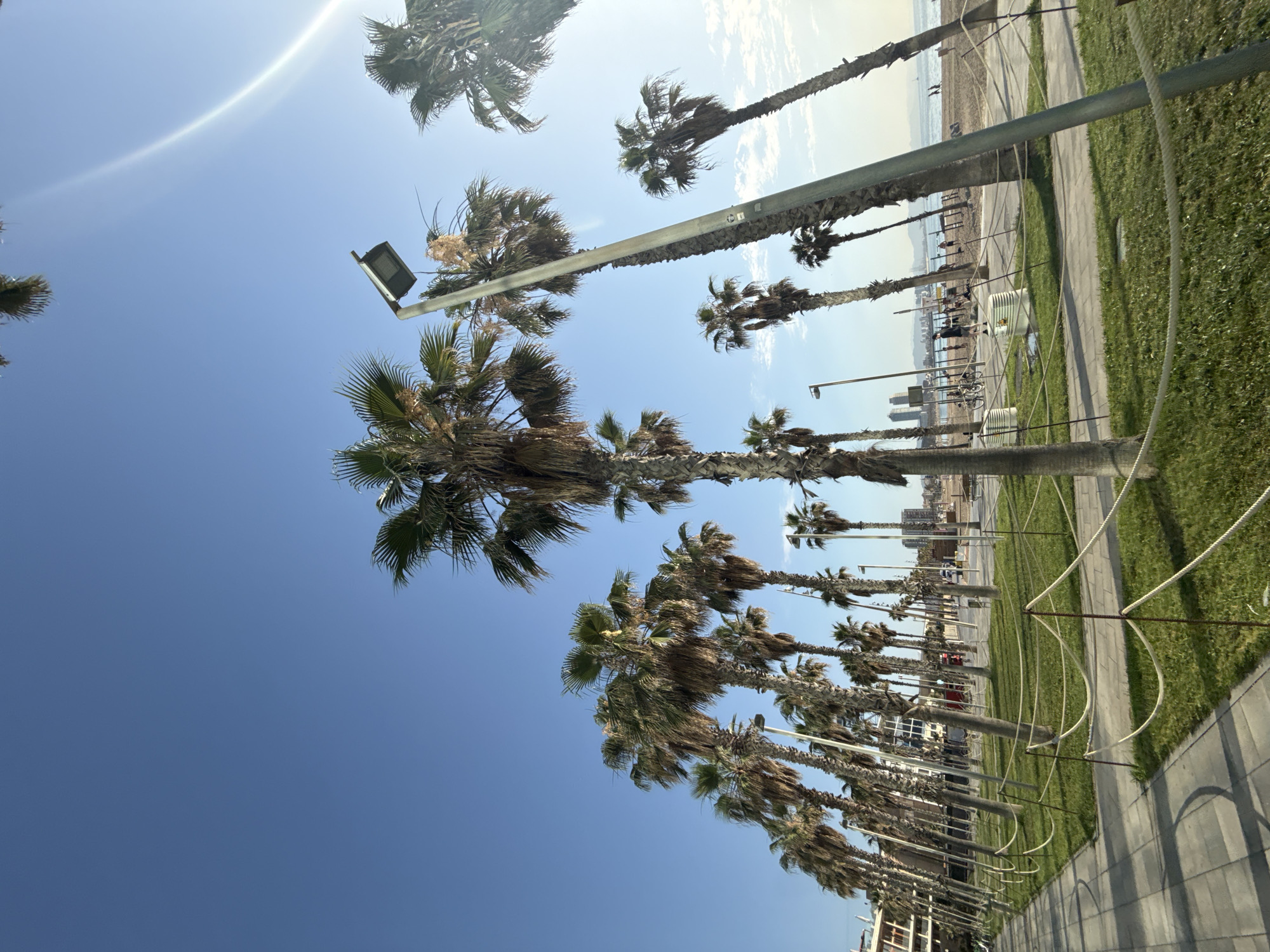 A low-angle shot captures a promenade lined with tall palm trees under a clear blue sky. The promenade features a paved walkway on the left, transitioning to a grassy area with rope barriers separating it from the beach. Beyond the palm trees, a sandy beach is visible with a few people walking and sunbathing. In the background, buildings and a body of water, likely the Mediterranean Sea, can be seen. The scene appears to be a sunny day in Barcelona, Spain, possibly along the Barceloneta beach or a similar coastal area.