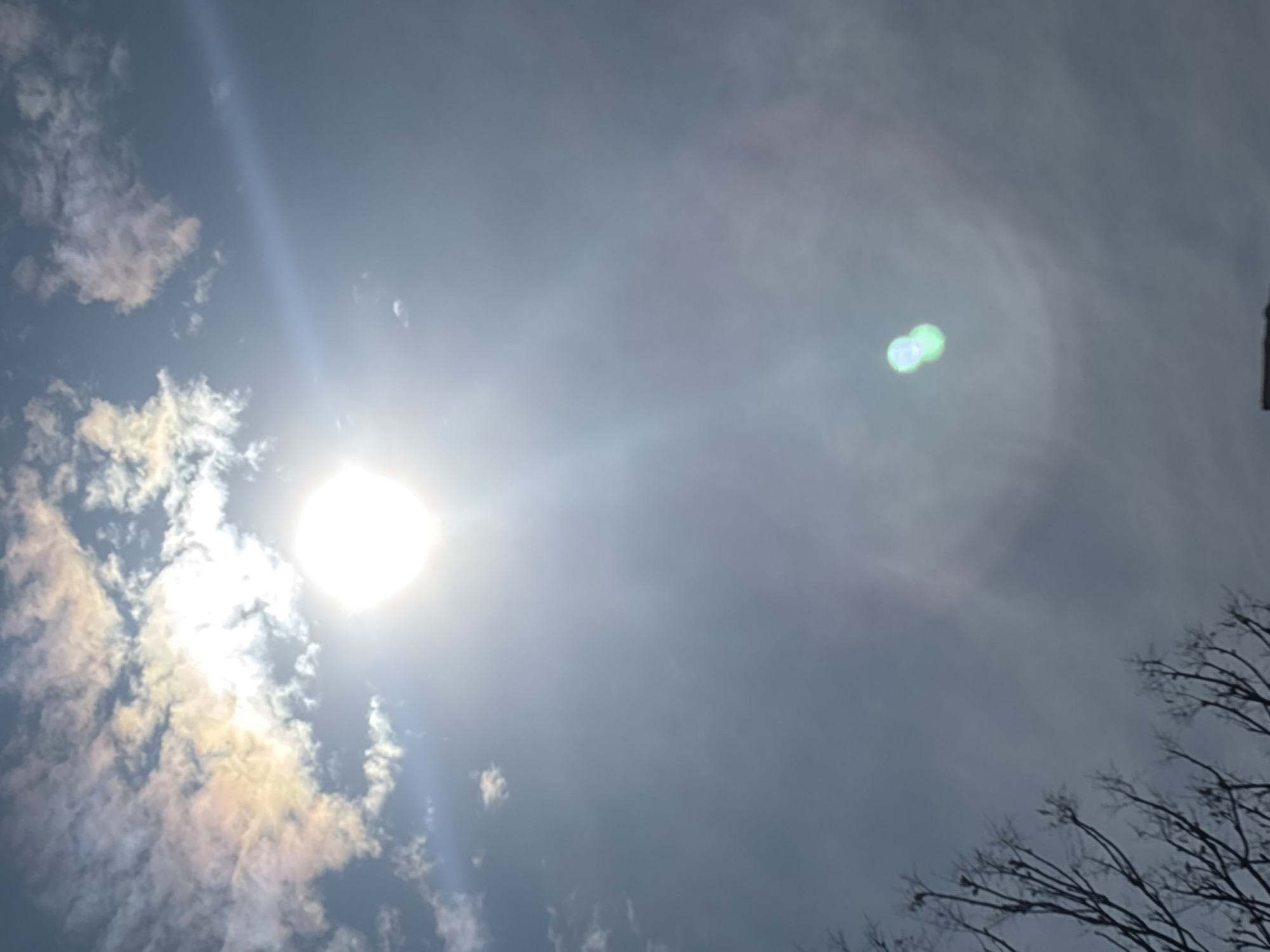 The image shows a daytime sky with a bright sun partially obscured by clouds. The clouds closest to the sun exhibit a rainbow iridescence. The sky transitions to a solid overcast in the upper right portion of the image. Tree branches are visible in the lower right corner. The scene appears to be shot looking upwards. The exact location within Sofia, Bulgaria is not determinable from the given image.
