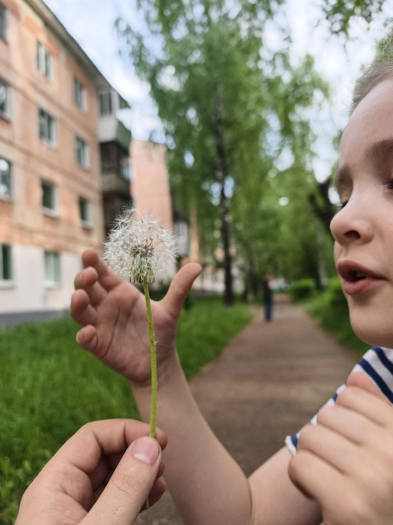 A close-up, slightly out-of-focus photograph shows a child holding a dandelion seed head in front of a blurry background. The child, cropped on the right, appears to be on the verge of blowing on the seed head. Their skin is fair, and they are wearing a striped blue and white shirt. A hand, presumably belonging to an adult, holds the dandelion's stem. In the background is a paved walkway flanked by green grass and trees. A blurry figure walks further down the path. A multi-story building with light pink siding and white window frames is visible on the left side of the image. Based on the building style and information provided, the location is in the city of Chaikovsky, Russia.