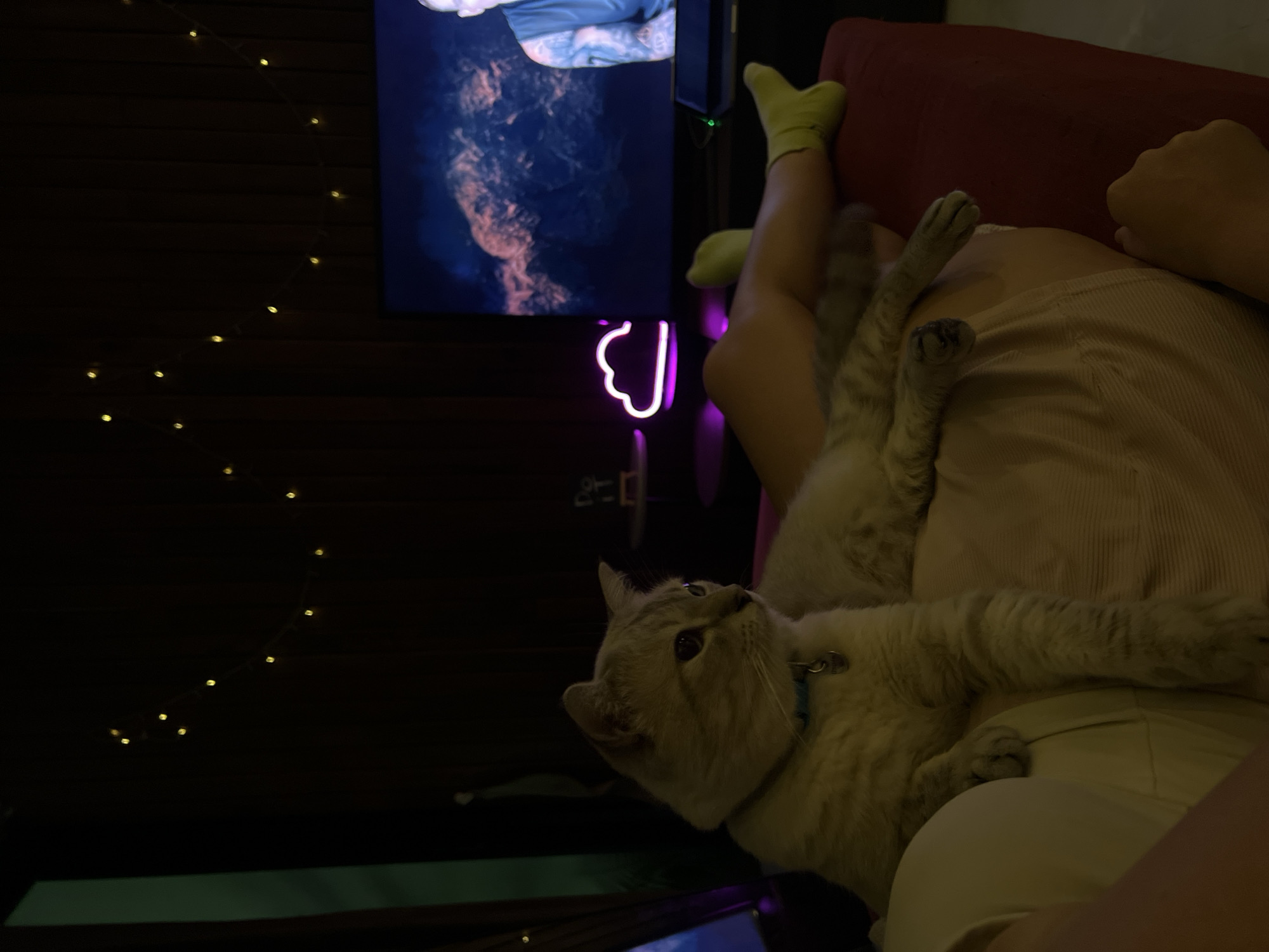 The image depicts a dimly lit room, likely a living room, with a television screen displaying a cinematic scene. A light-up cloud-shaped neon sign adds a pop of pink to the ambiance. In the foreground, a person's legs, clad in neon yellow socks, are visible, suggesting they are relaxed and watching TV. A light-colored cat with tabby markings is resting on the person's lap, looking towards the right of the frame. String lights are draped across the dark wall in the background, adding a festive touch. The overall atmosphere is cozy and casual, indicative of a night in at home.