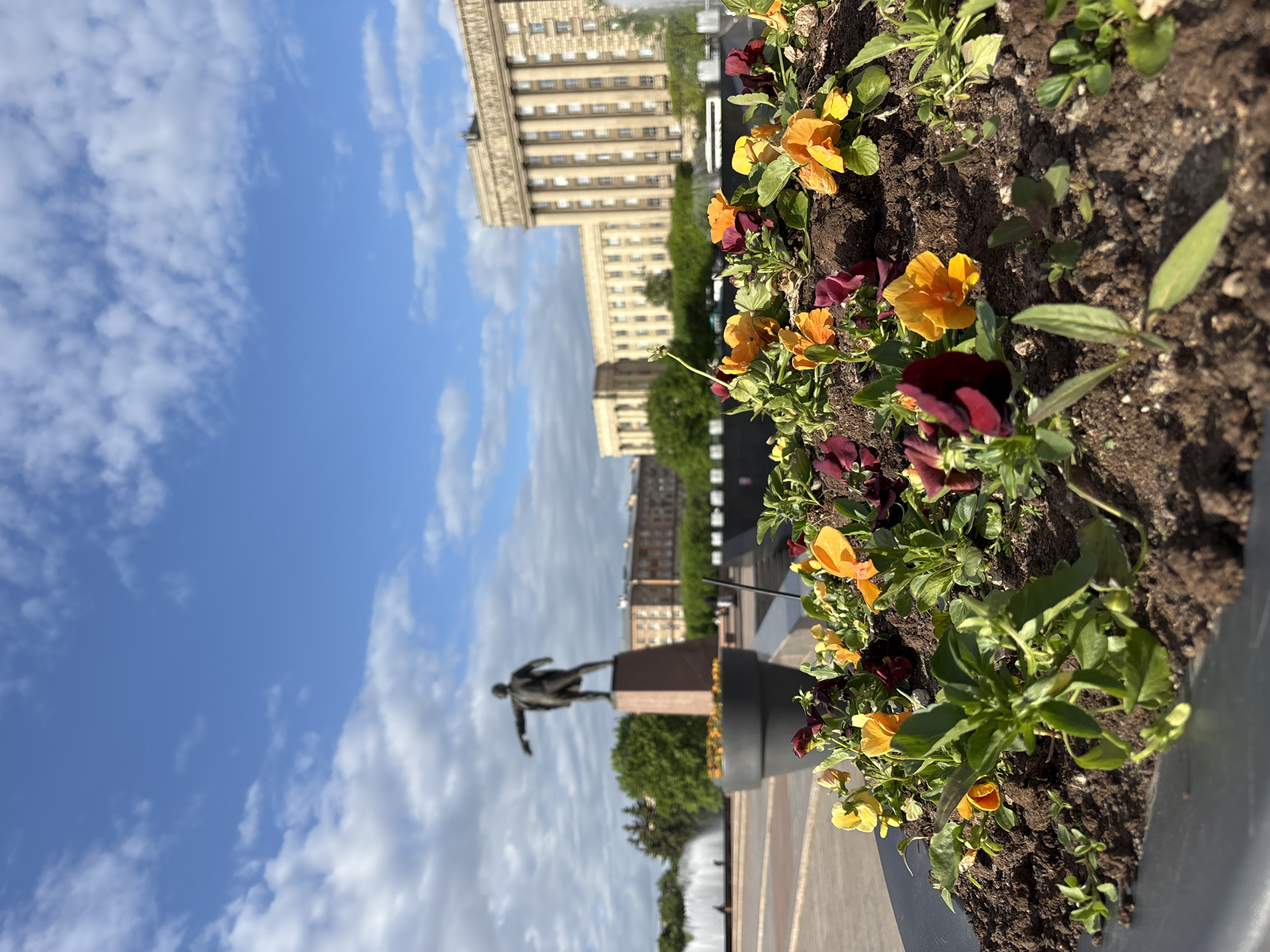 This photograph, taken in Saint Petersburg, Russia, captures a unique perspective on a cityscape. In the foreground, a vibrant flowerbed is filled with colorful pansies. The flowers, predominantly yellow and burgundy, grow in rich, dark soil within a gray planter. Behind the flowerbed, a bronze statue of Vladimir Lenin stands on a high base. In the background, the image captures the architecture of Saint Petersburg, including light-colored buildings with numerous windows. The sky, predominantly blue, has white clouds. The pavement is brick and flat.