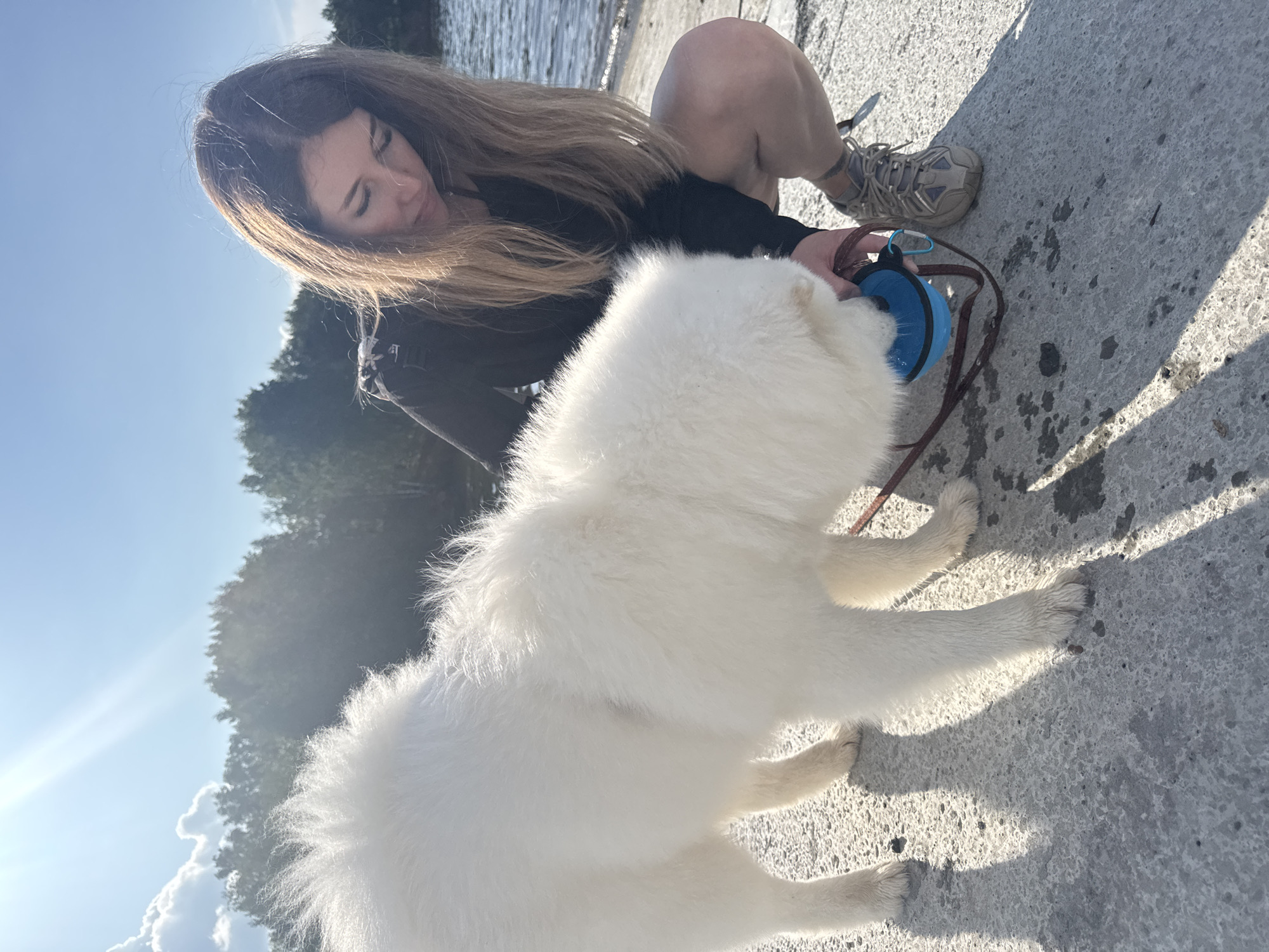 In Chaikovsky, Russia, a woman kneels beside a white fluffy dog on a concrete surface next to a body of water. The dog is drinking from a blue portable water bowl held by the woman. The sun is bright, casting shadows on the ground and creating lens flare in the sky. Trees line the far bank of the water. The woman is wearing a dark long-sleeved shirt, shorts, and athletic shoes. The dog appears to be a Samoyed.