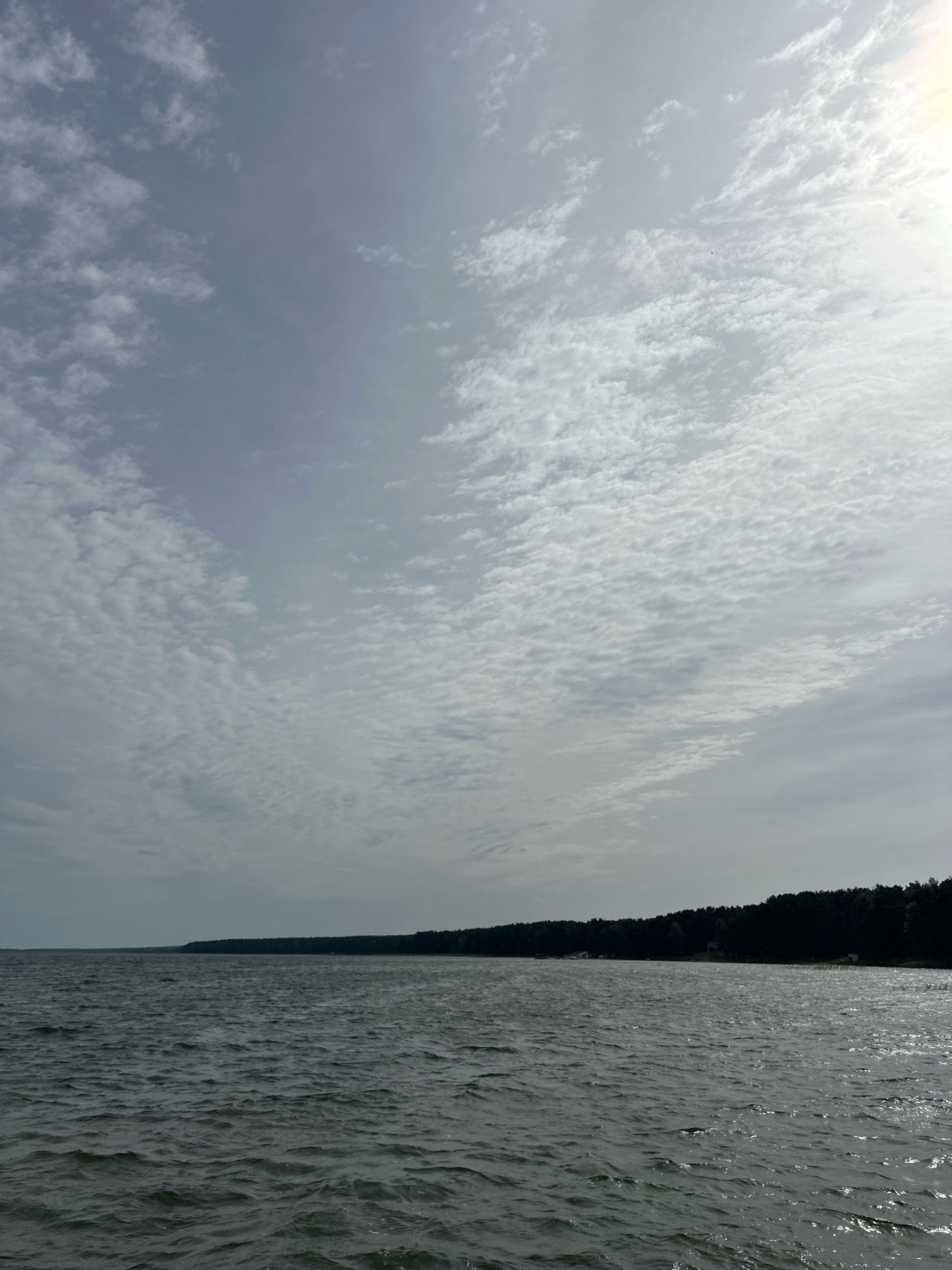 The image shows a wide expanse of water, likely a lake or river, with ripples on its surface. In the distance, a dense line of dark green trees forms a treeline along the horizon. Above the water and trees, the sky is filled with scattered clouds, some appearing wispy and thin, while others are more textured and textured. The overall lighting suggests it is daytime, with a slight haze or overcast conditions that soften the sunlight. The scene is tranquil and natural, depicting a landscape that could be found in a rural area. Based on the location of Нарацкі сельскі Савет, Belarus, this could be a view of Naroch Lake or one of the surrounding bodies of water known for their natural beauty and forested shorelines.