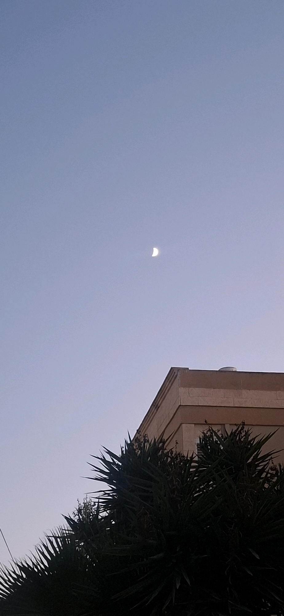 The image captures a twilight scene with a crescent moon in a pale blue sky. In the foreground, silhouetted against the sky, are the spiky leaves of a yucca plant. Behind the plant, a portion of a building's facade is visible, constructed with light-colored stone blocks and featuring a decorative cornice. The building appears to be located in a city, consistent with an urban environment in Yerocham, Israel. The overall lighting suggests either dawn or dusk.
