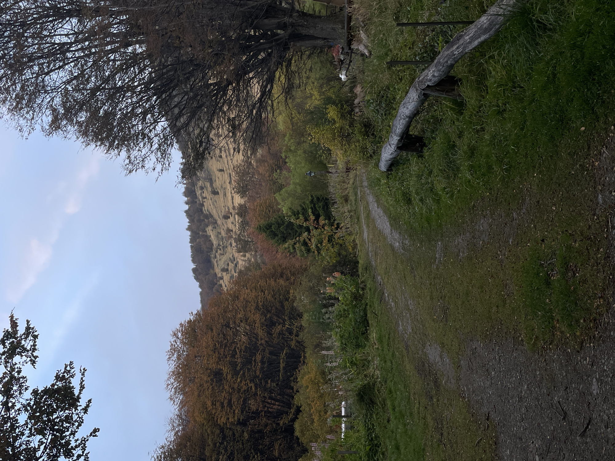 The image captures a rural scene likely in the vicinity of Ushuaia, Argentina. A dirt path stretches into the distance, flanked by grassy areas and vegetation. A weathered wooden fence runs along the path's edge. The landscape ascends towards a sparsely vegetated hillside. Bare trees are present, suggesting it is not peak summer. The sky is overcast with diffuse light. There are no visible people or animals in the scene.