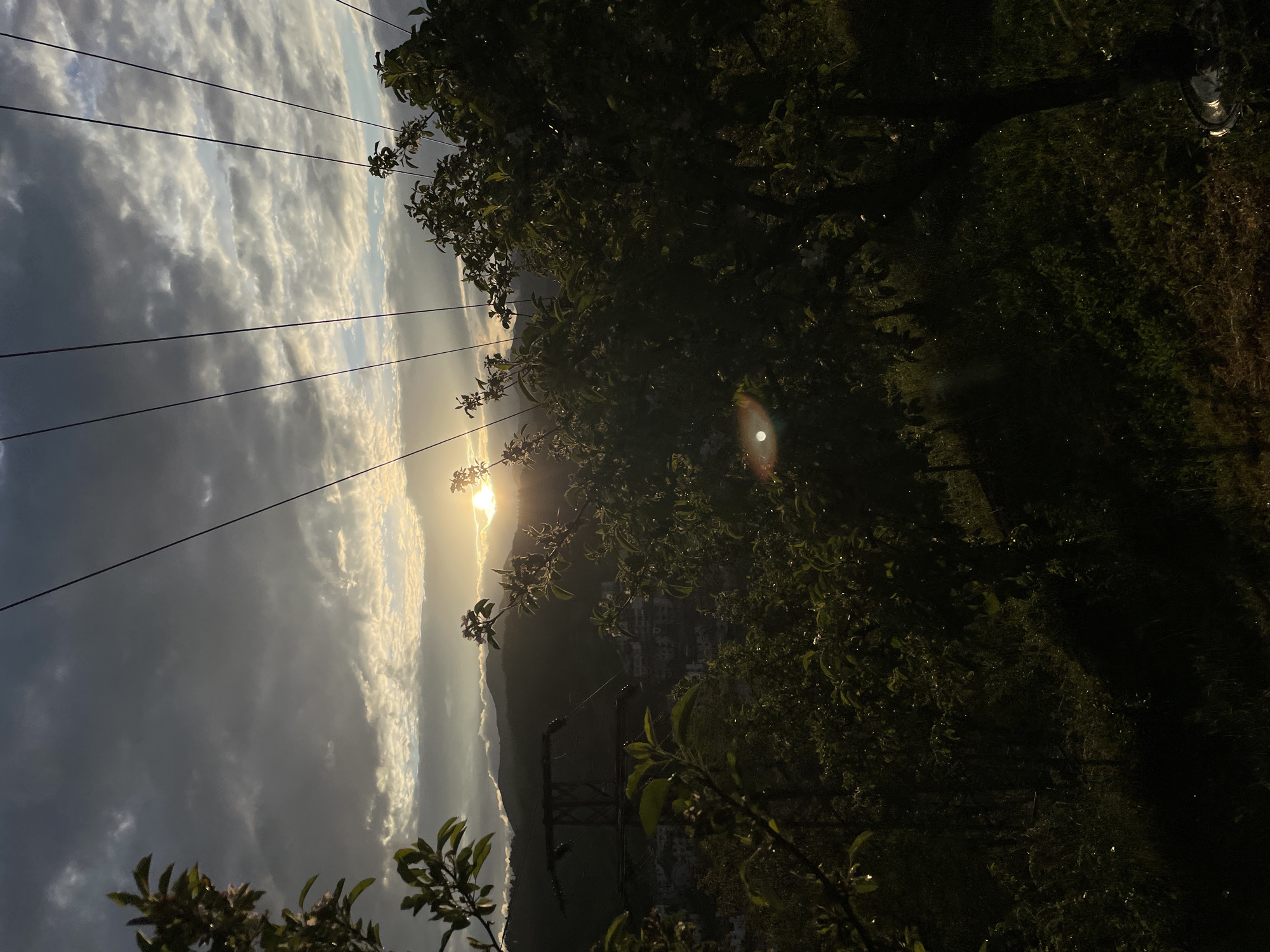The image shows a landscape with the sun setting or rising. Power lines run diagonally across the left side of the image. Dark, leafy trees fill the right side of the frame, obscuring some of the view. In the center, the sun is visible, positioned above a hazy mountain range. Below the mountains, there is an indistinct cityscape that appears to be Zlatograd, Bulgaria. A pylon supports the overhead lines. The sky is filled with clouds, with some areas appearing dark and others illuminated by the sun. The picture appears to be taken from an elevated position.