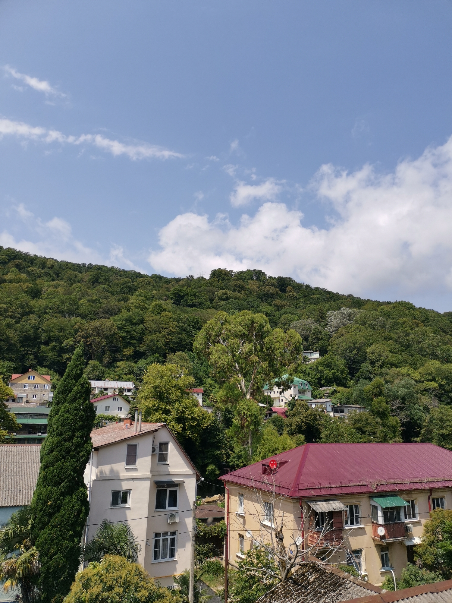 A medium shot captures a view of buildings nestled on a lush, densely forested hillside under a bright, partly cloudy sky. In the foreground, a large building with a dark red, ribbed roof stands out. It has multiple windows, some with green awnings, and balconies. To the left of this building is a tall, slender, dark green cypress tree. Behind it, a lighter-colored, multi-story building with white-framed windows is visible. Further back, several other buildings with light-colored facades and red roofs are scattered among the trees. The hillside is covered in a variety of green trees, with the foliage becoming denser as it ascends. The sky is a pale blue with scattered white, fluffy clouds. The scene suggests a residential area in a mountainous, possibly coastal, location.