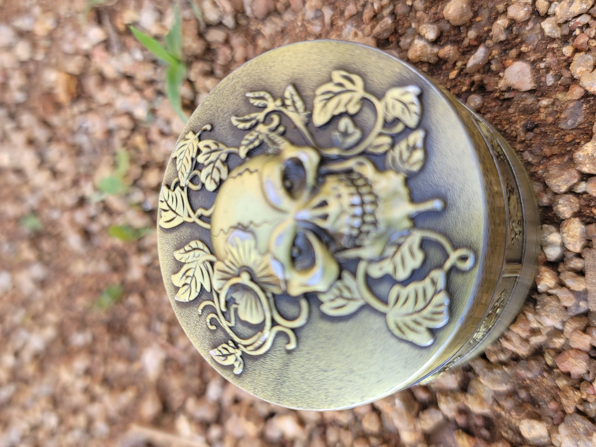 A circular, bronze-toned metallic object, possibly a decorative lid or grinder, rests on a ground surface in the city of Jos, Nigeria. The object features an embossed design on its top, depicting a stylized human skull with prominent eye sockets and teeth, appearing to have a fissure on its upper right side. The skull is encircled by intricate, raised patterns of leaves and winding vines, all rendered in the same antique gold or brass-like finish. The ground beneath the object is composed of an uneven mixture of small, reddish-brown, light brown, and grey gravel stones interspersed with dark soil. Sparse green plant growth, consisting of small blades and leaves, emerges from the rocky terrain in the background and edges of the frame. No individuals are visible, and no actions are discernible. The scene is illuminated by natural light, highlighting the textured surfaces of the object and the ground.