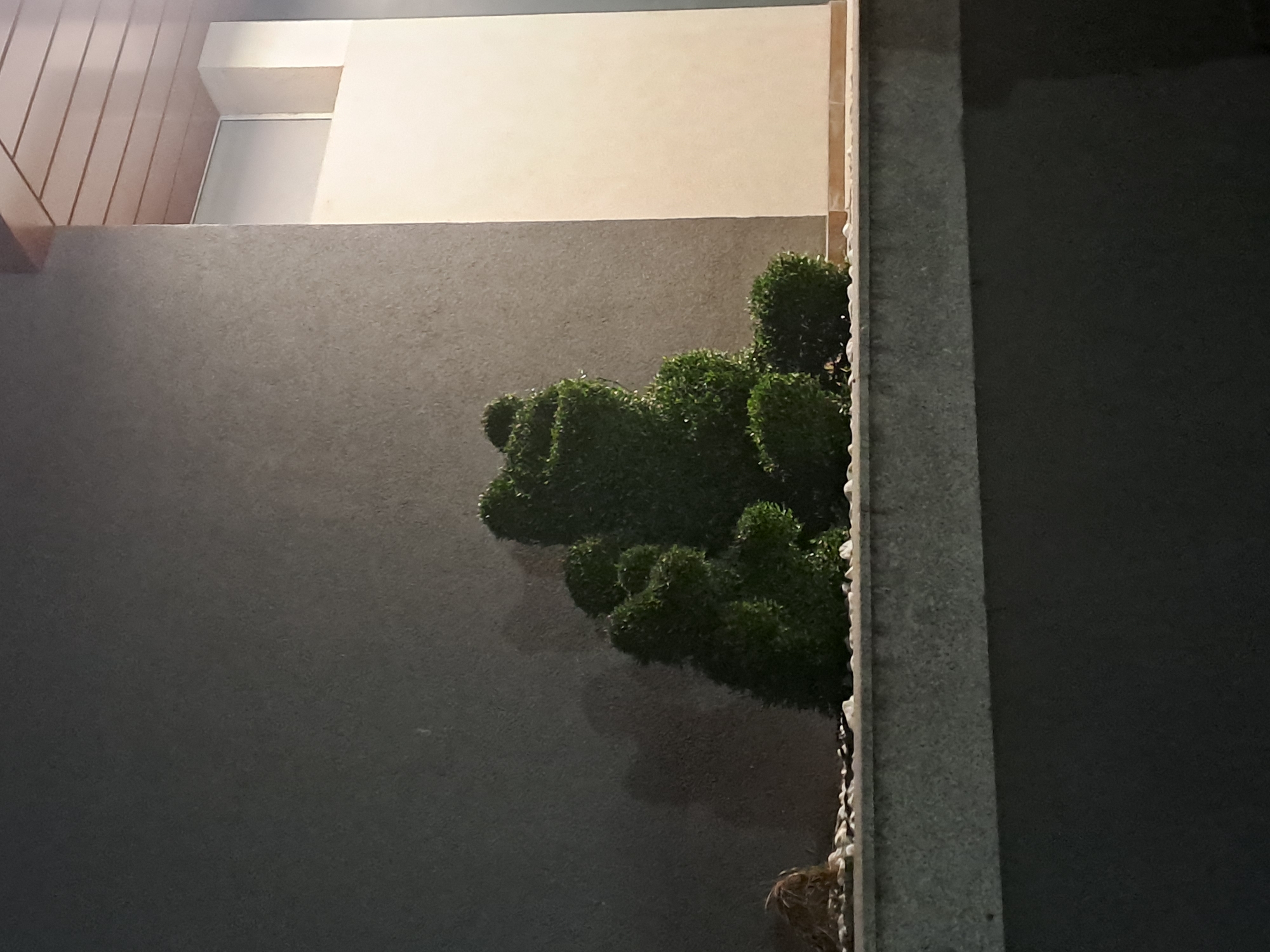 The image presents a close-up view of an exterior setting. A wall constructed from gray stone forms a backdrop. A topiary bush, densely packed with small, dark green leaves, grows in front of the wall. The bush's shape appears rounded and somewhat abstract.
A section of wooden paneling can be seen at the top left of the frame, suggesting a building facade. A light-colored wall surface is positioned above the stone wall, indicating a multi-tiered structure.
The composition is framed by a vertical element on the right, likely a column or another section of the wall, which is also made of gray stone. The right side of the image is considerably darker, adding to the sense of depth and perspective.
The location is unspecified, as are the exact time of day and environmental conditions.