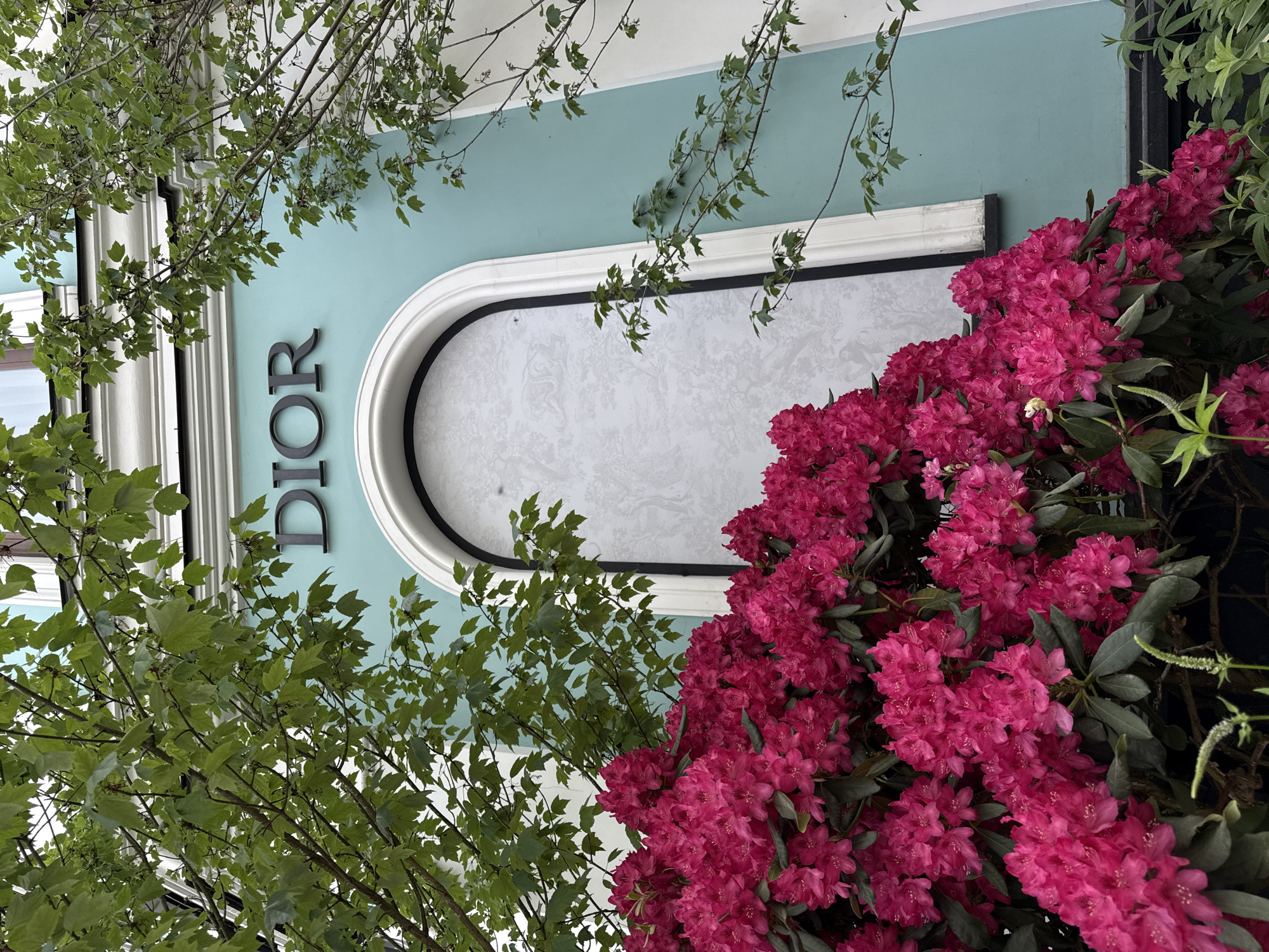 A low-angle shot shows the facade of a Dior boutique in Moscow, Russia. The building is light blue with the word "DIOR" affixed vertically on the left. A large, arched window is visible, covered with a white screen. Vibrant pink rhododendron flowers cascade from the right side of the frame. Green foliage from trees flanks the left and upper areas of the composition.