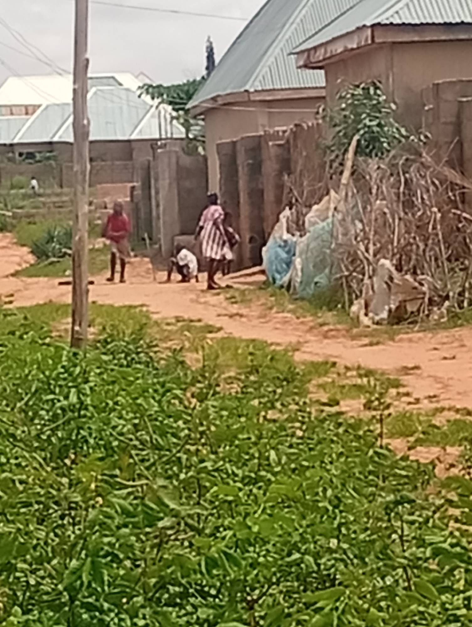 This image depicts an outdoor scene in Tumfure, Nigeria. In the foreground, lush green vegetation with small yellow flowers dominates the lower portion of the frame. A dirt path stretches into the mid-ground, where several individuals are present. To the left, a person in a red shirt and brown shorts stands. Slightly further back and to the right, a person in a white shirt and striped dress is standing. Another individual in a white shirt is bent over on the path. In the background, residential structures with corrugated metal roofs are visible. A wooden pole stands prominently on the left side of the image. The environment appears to be a residential area with elements of both natural growth and human settlement.