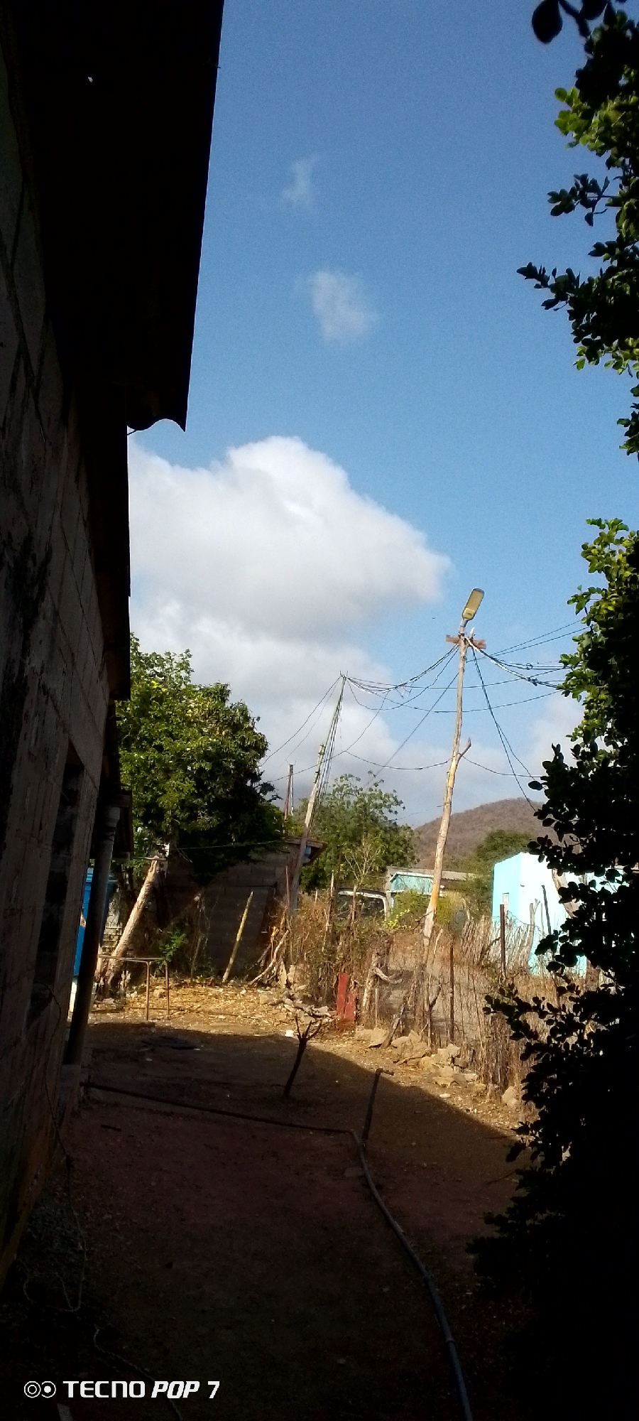 The image presents an outdoor scene in what appears to be a rustic or semi-rural setting, likely in Altagracia, Venezuela. On the left, the dark, shadowed side of a concrete block building frames the view. A dirt path or ground extends into the midground, leading towards an area with sparse vegetation and several tall, slender wooden poles. These poles are strung with numerous tangled wires, and one prominently features a modern street light at its apex.
Further back, partially obscured by the dry brush and trees, a light-colored vehicle, possibly a truck or van, is visible near a distinct light blue building. In the far distance, rolling hills or mountains can be seen under a bright blue sky adorned with scattered white clouds. The right side of the frame is darkened by the foliage of a tree or bush. A black hose or pipe lies across the ground in the foreground.
The scene is captured during daylight hours, evidenced by the bright sky and the interplay of light and shadow on the building and ground. There are no people visible, and no particular activity is taking place, presenting a quiet, static view of the environment. The visible text "TECNO POP 7" is present in the bottom left corner of the image, indicating the device used to take the photograph.