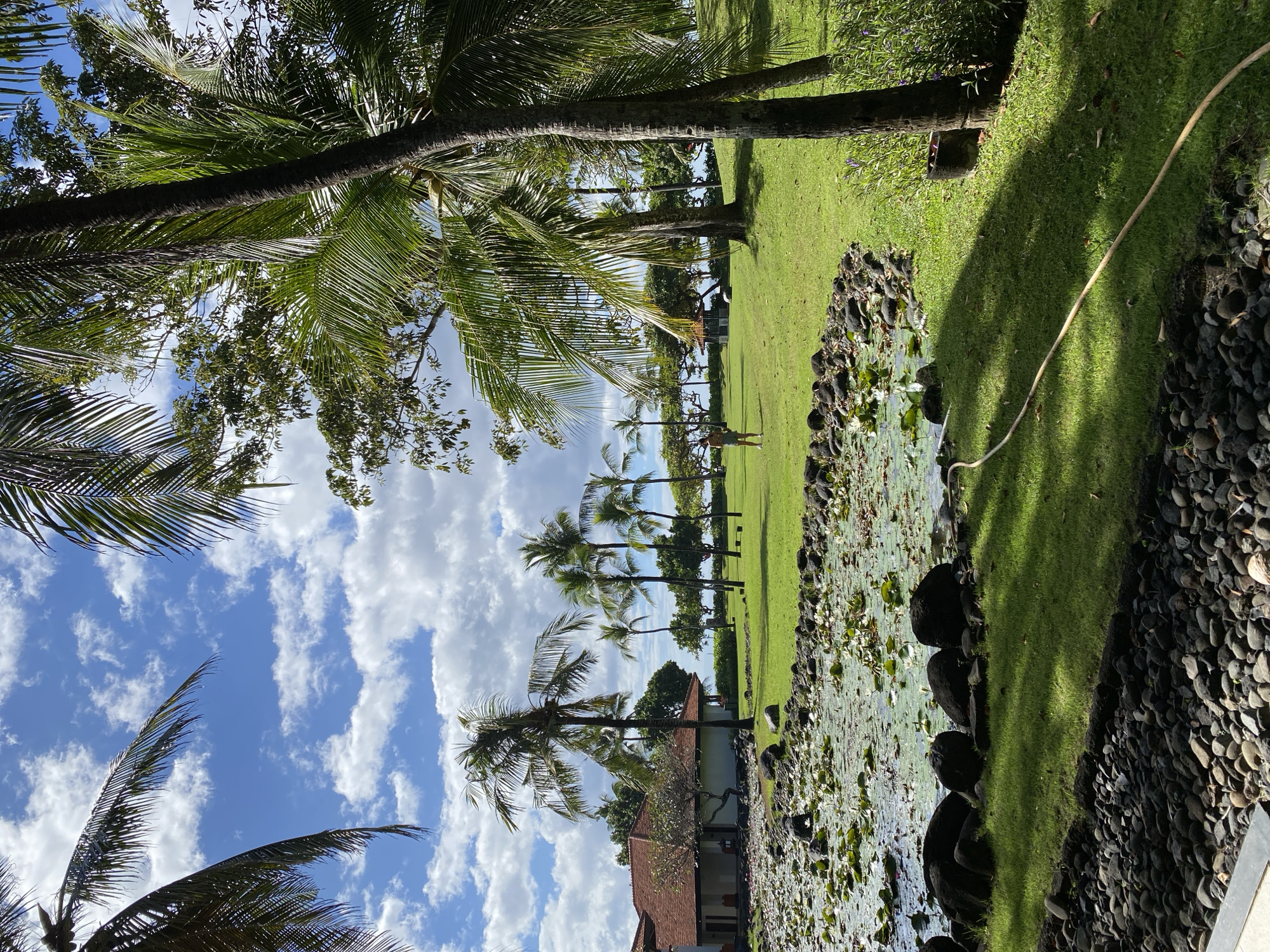 The image shows a landscape in Kuta Selatan, Indonesia, likely a resort or botanical garden. A row of palm trees lines a grassy area, extending from the foreground towards the background. A building with a red-tiled roof is visible amongst the trees on the lower left. To the right, there's a water feature with lily pads and a rocky edge. A person wearing a light-colored top and shorts stands in the middle ground. The sky is blue with scattered white clouds. A garden hose is visible along the grassy area. The overall impression is a tropical scene.