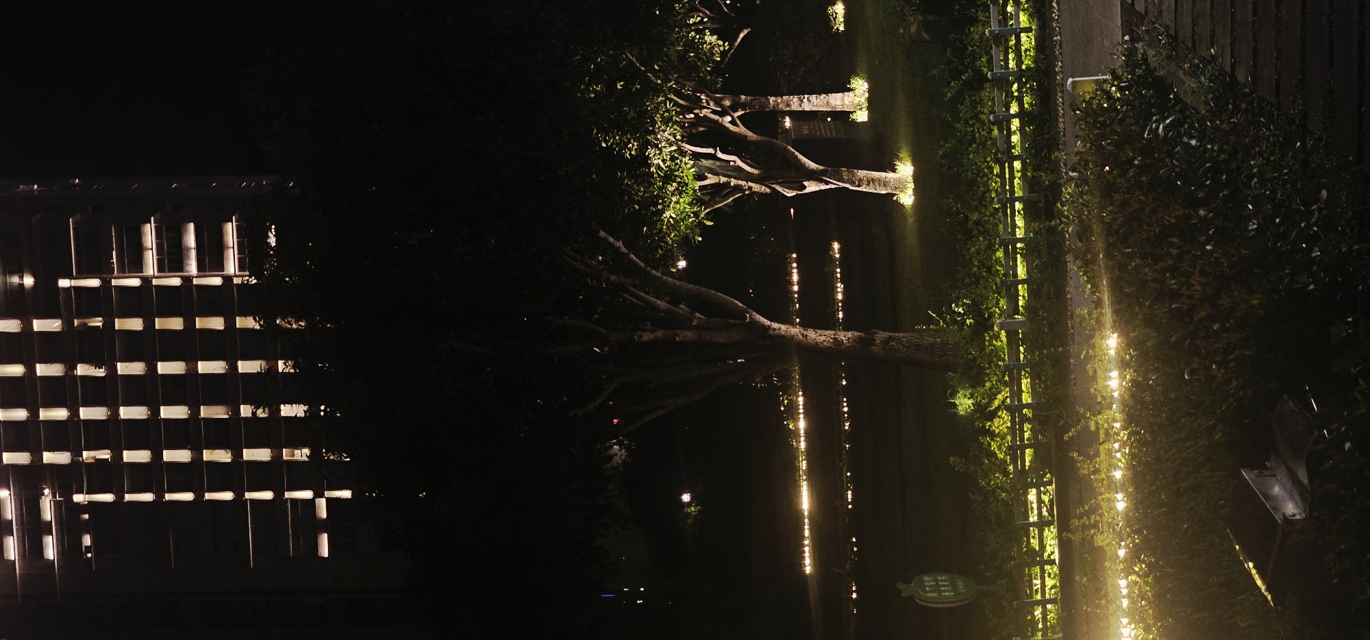 The image shows an outdoor scene at night, likely in Beibei, China. In the background, a tall building with many illuminated windows is visible. In the mid-ground, several trees are illuminated by spotlights on the ground, casting a warm glow on their foliage and trunks. A line of small, glowing lights stretches across the grassy area in front of the trees, creating a festive or decorative effect. A blue-railed fence runs along the edge of a path or lawn. In the foreground, there are bushes and a dark, metallic object that appears to be a discarded piece of equipment or debris. The overall atmosphere is serene and somewhat magical, with the artificial lighting highlighting the natural and man-made elements of the urban landscape.