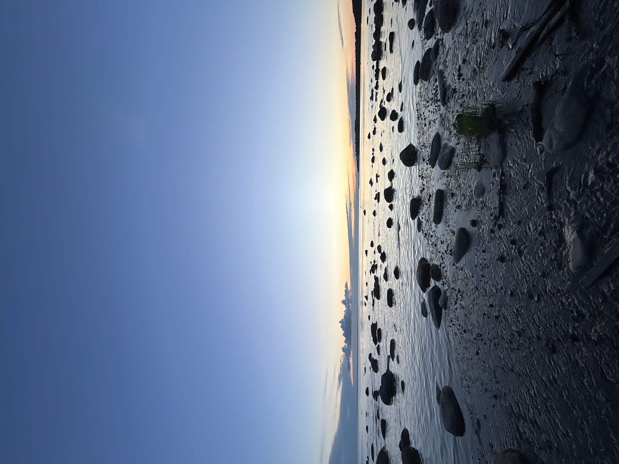 The image depicts a serene seascape at dusk or dawn, likely along the coast of Haabneeme alevik, Estonia. The sky is a gradient of deep blue at the top, transitioning to lighter blues and pale oranges near the horizon, suggesting the sun is either rising or setting. A few elongated clouds are visible on the left side of the frame. The water is calm, reflecting the subtle colors of the sky. Scattered across the water and along the shoreline are numerous dark, rounded rocks of varying sizes. The foreground shows a wet, dark sandy or muddy shore with more rocks and some scattered debris, including a piece of driftwood. Patches of green grass are growing in the shallow water near some of the rocks. The scene is devoid of people and any discernible activity, presenting a tranquil natural environment.