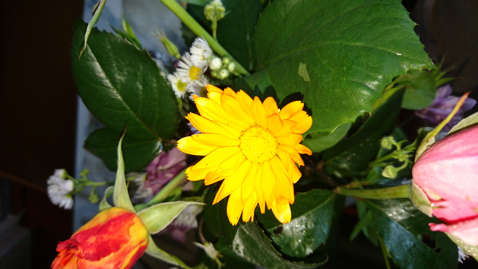 A bouquet of flowers is displayed in what appears to be a dimly lit indoor setting. The primary focus is a bright yellow daisy-like flower with numerous petals, positioned centrally. To the left, a partially unfurled pink rose bud is visible, along with other foliage. In the upper right, a rosebud with red and yellow coloring is present. Smaller white flowers with yellow centers are scattered throughout the arrangement. The background is dark and out of focus. There is no indication of a specific location in Dvirets, Ukraine, beyond this being an indoor display.