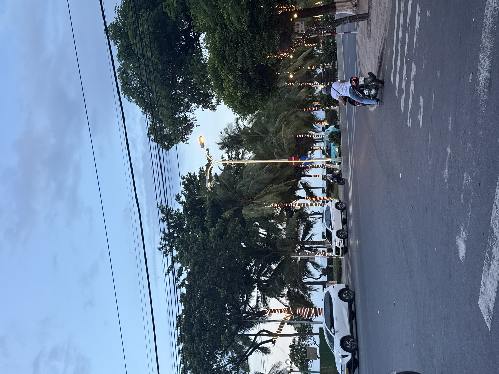 The image shows a street scene in Nha Trang Ward, Vietnam, likely near a coastal area given the palm trees and clear sky. The lighting suggests it is either early morning or late evening. The foreground features a grey asphalt road with white pedestrian crossings. A motorcycle with a rider wearing a white shirt and blue jeans is turning right from the road onto a sidewalk. In the middle ground, two white SUVs are parked or driving on the road. To the right of the road, a sidewalk is lined with palm trees decorated with strings of warm-toned lights, and a tall streetlamp with a glowing orange light illuminates the scene. Behind the trees, a body of water, possibly the sea, is visible. The background consists of a hazy sky with scattered clouds and more trees, including some large, mature trees and numerous palm trees. Power lines are visible across the top of the image.