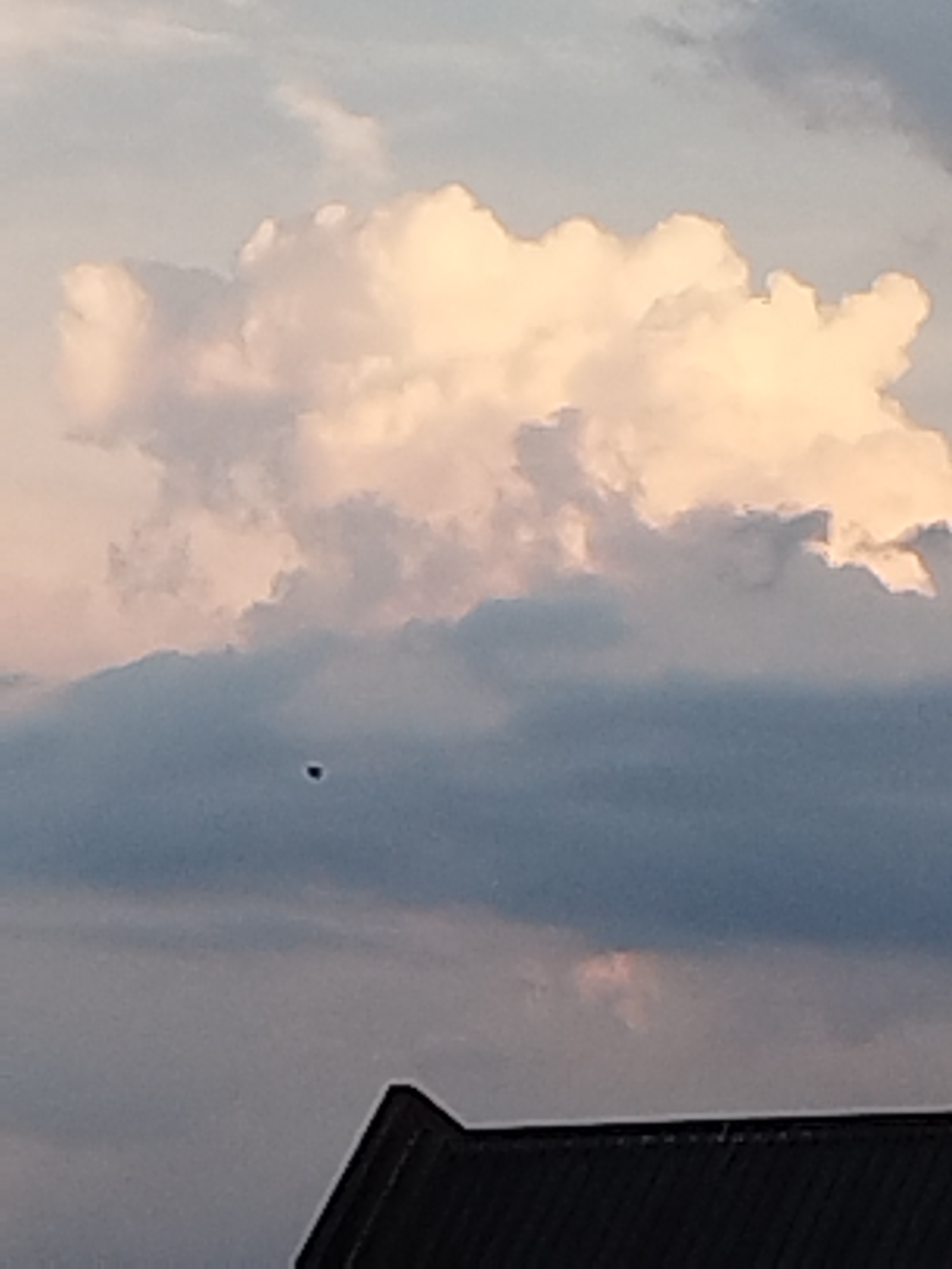 The image shows a dark, silhouetted roofline in the foreground, partially obscuring a dusky sky. The sky is filled with clouds of varying shades of gray, blue, and a soft, warm pinkish-white, suggesting either sunrise or sunset. A single, dark, and indistinct object is visible in the middle distance, hovering against the muted sky. Its shape is unclear, but it appears to be small and circular or oval. No specific landmarks of Bucharest are identifiable in this image; the scene is generic and could be anywhere with a view of the sky and a roof.